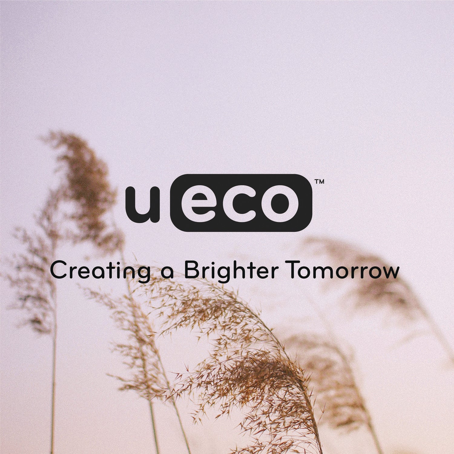 U Brands U-Eco Hanging File Folders, Letter Size, 1/5-Cut Tabs, Assorted, 12/Pack