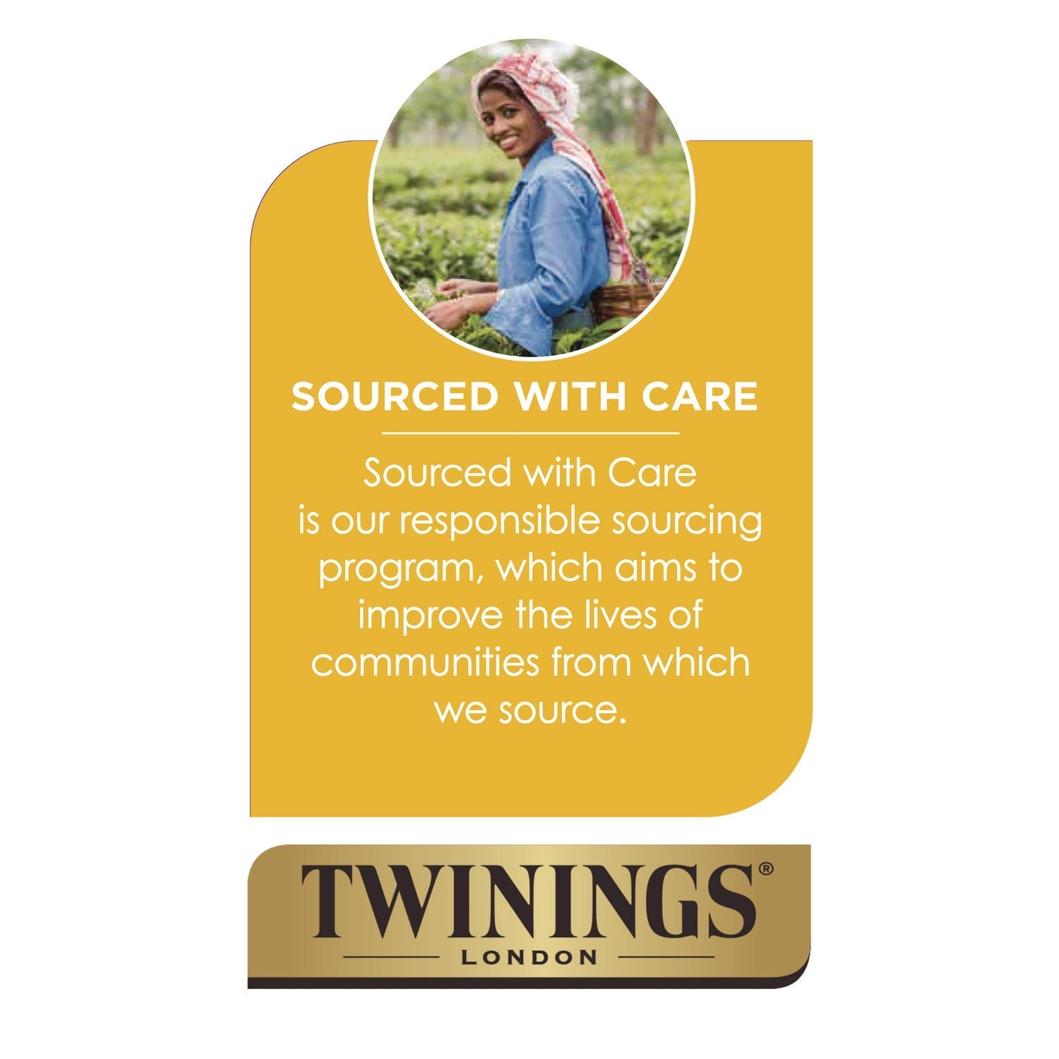 TWININGS® Probiotics Lemon and Ginger Herbal Tea Bags, 0.05 oz, 18/Box