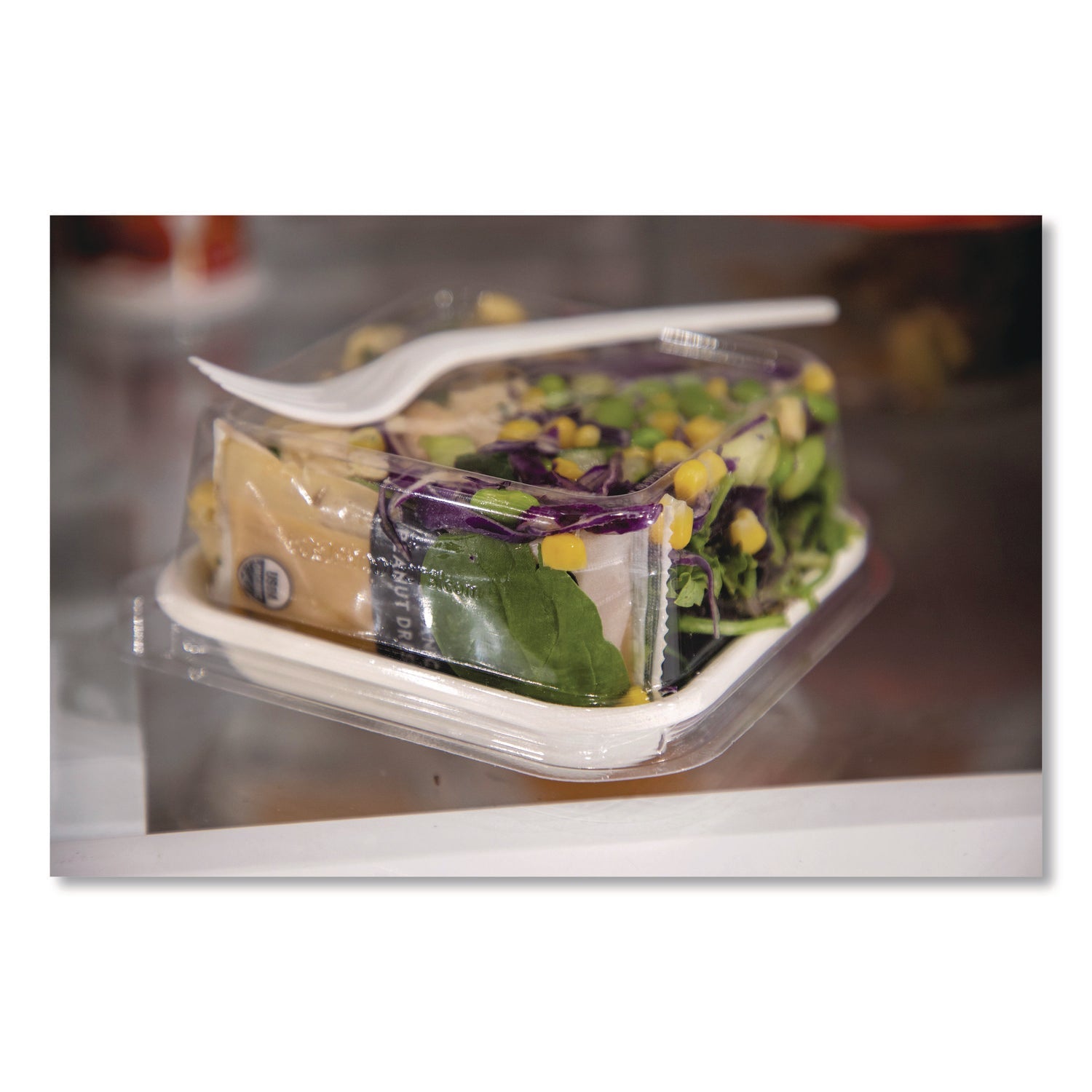 Eco-Products® WorldView Renewable Molded Fiber Containers, 10 oz, 5.04 x 5.04 x 1.09, White, 800/Carton - Bloom Skins