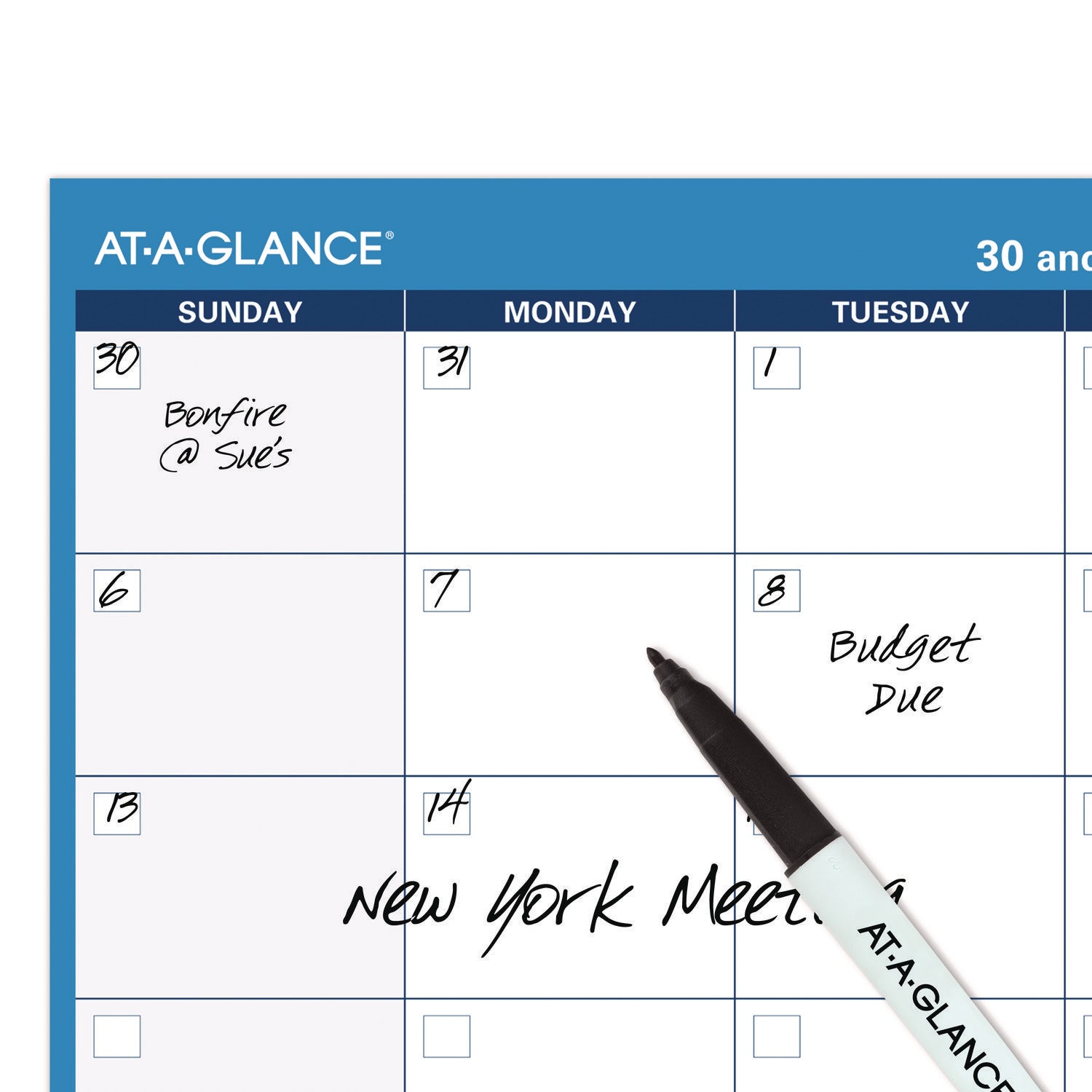 AT-A-GLANCE® 30/60-Day Undated Horizontal Erasable Wall Planner, 48 X 32, White/blue Sheets, Undated