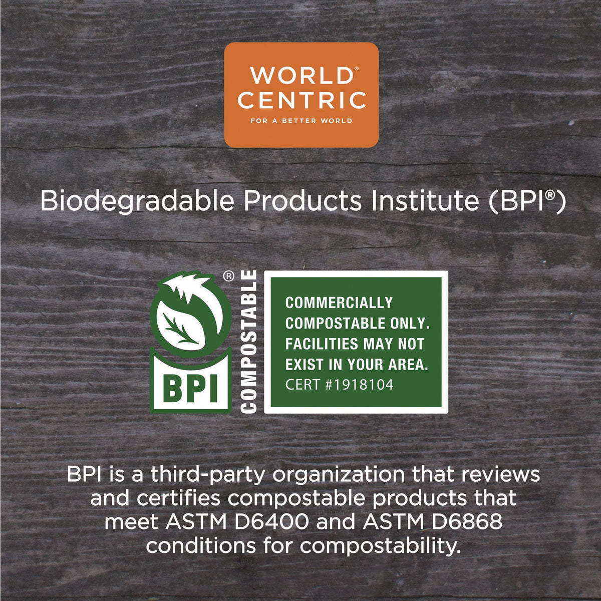 World Centric® TPLA Compostable Cutlery, Soup Spoon, Plastic, White, 1,000/Carton - Bloom Skins