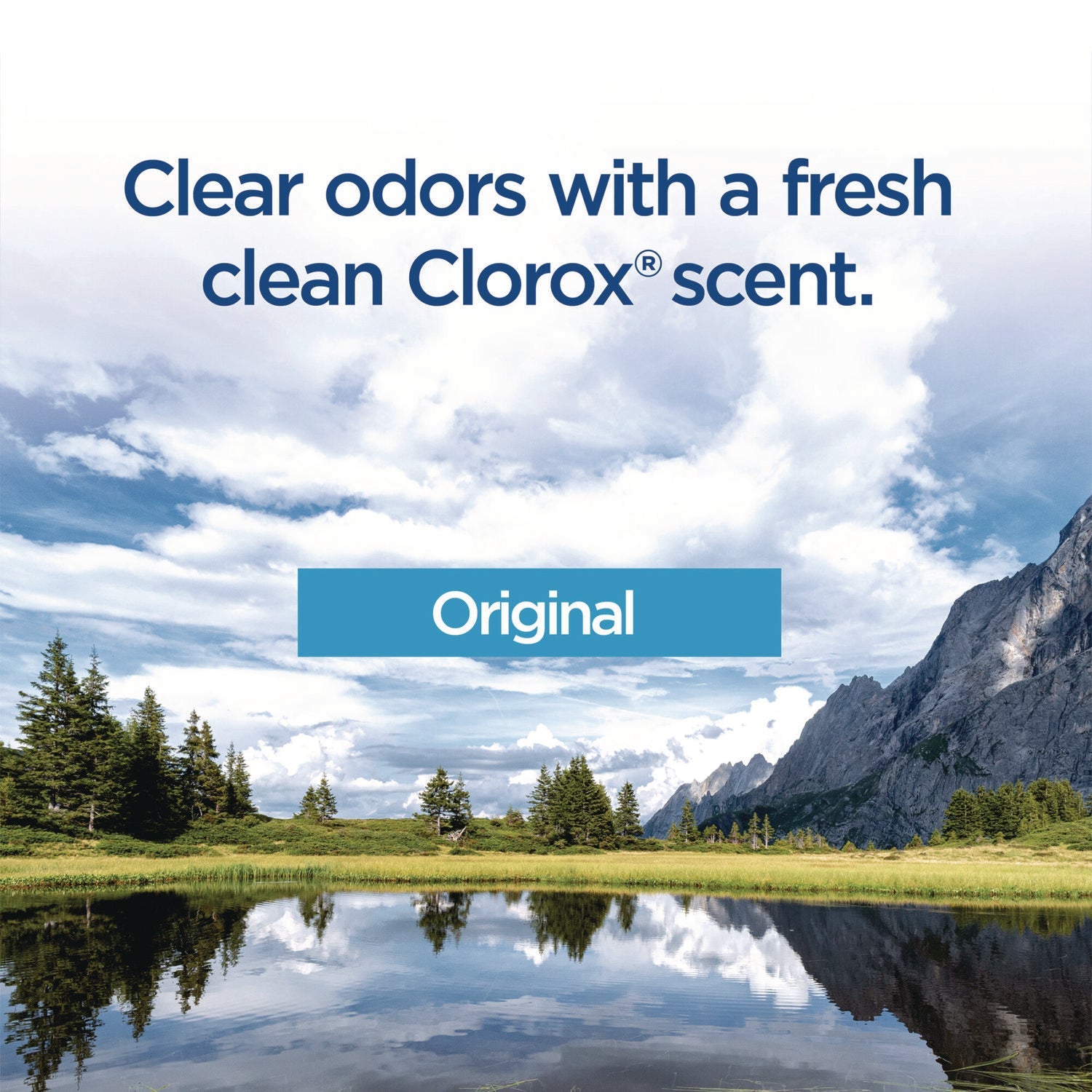 Clorox® Toiletwand Disposable Toilet Cleaning System: Handle, Caddy And Refills, White