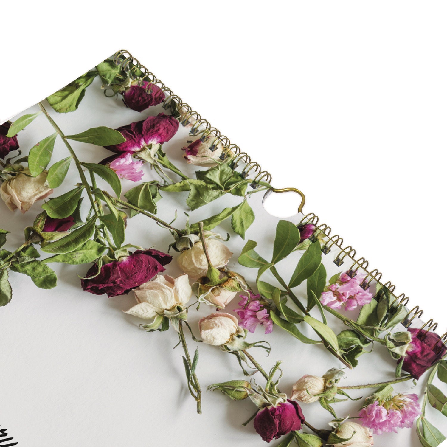 Blueline® Romantic Wall Calendar, Floral Photography, 12 x 17, White/Multicolor Sheets, 12-Month (Jan to Dec): 2025 - Bloom Skins