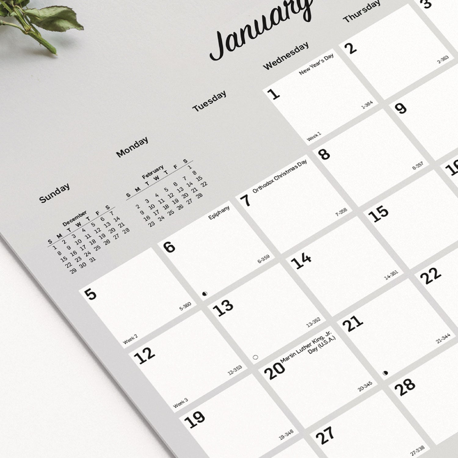 Blueline® Romantic Wall Calendar, Floral Photography, 12 x 17, White/Multicolor Sheets, 12-Month (Jan to Dec): 2025 - Bloom Skins