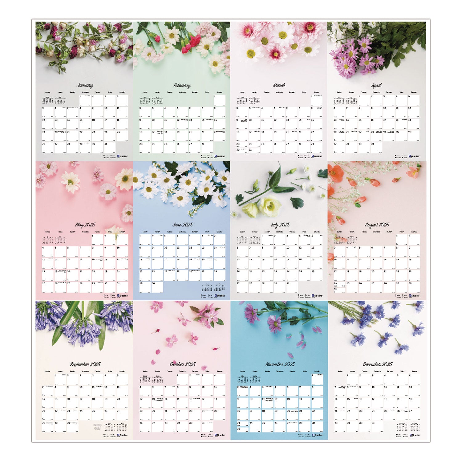 Blueline® Romantic Wall Calendar, Floral Photography, 12 x 17, White/Multicolor Sheets, 12-Month (Jan to Dec): 2025 - Bloom Skins