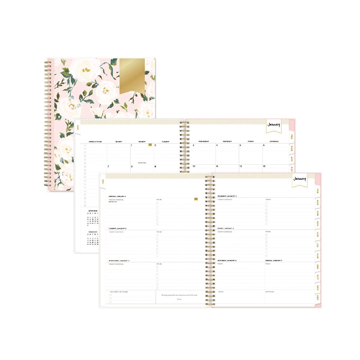 Day Designer Coming Up Roses Planner | 2025 | 11x8.5