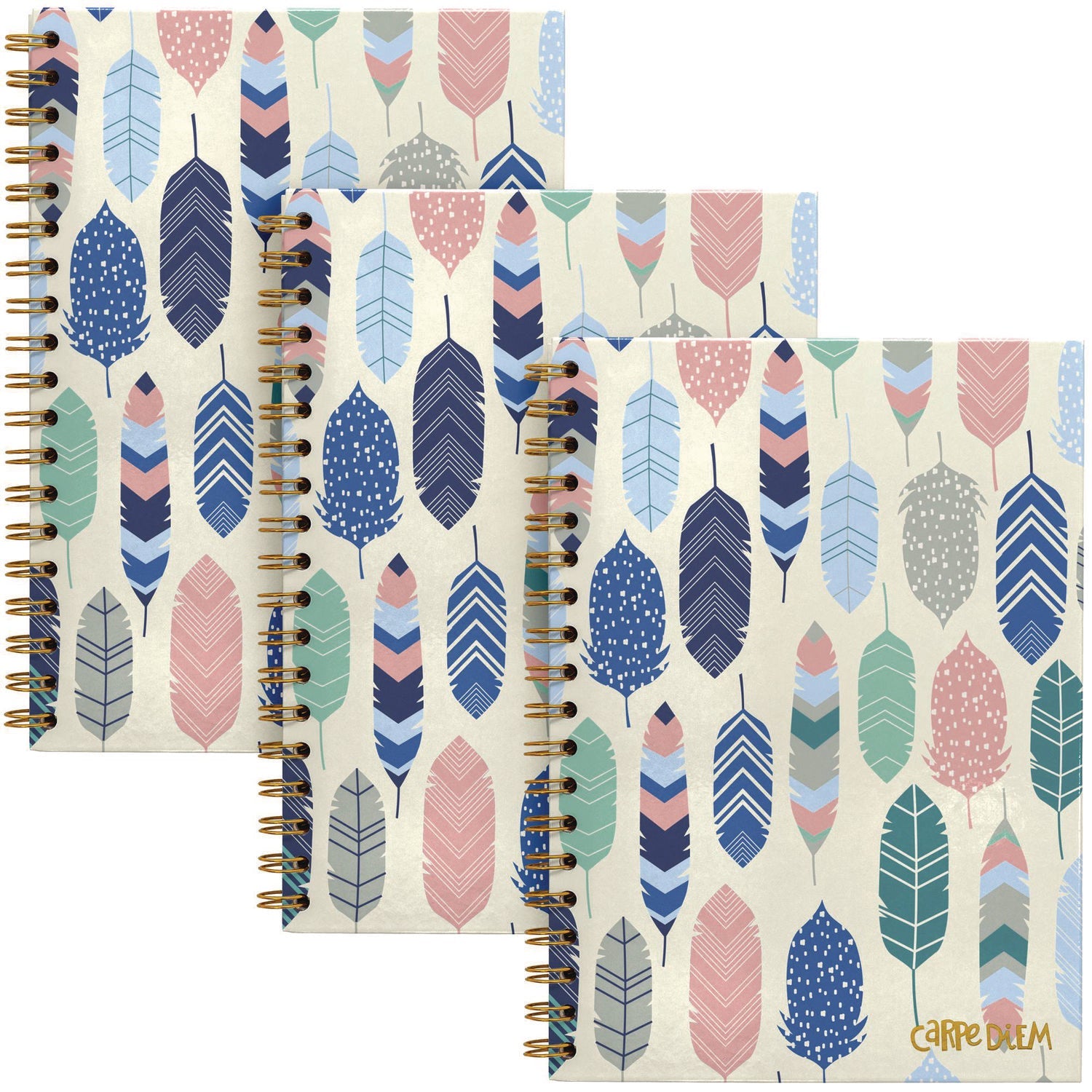 PUKKA PAD® B5 Size Notebook, 1 -Subject, Medium/College Rule, Design Cover, (80) 9.8 x 6.9 Sheets, 3/Pack