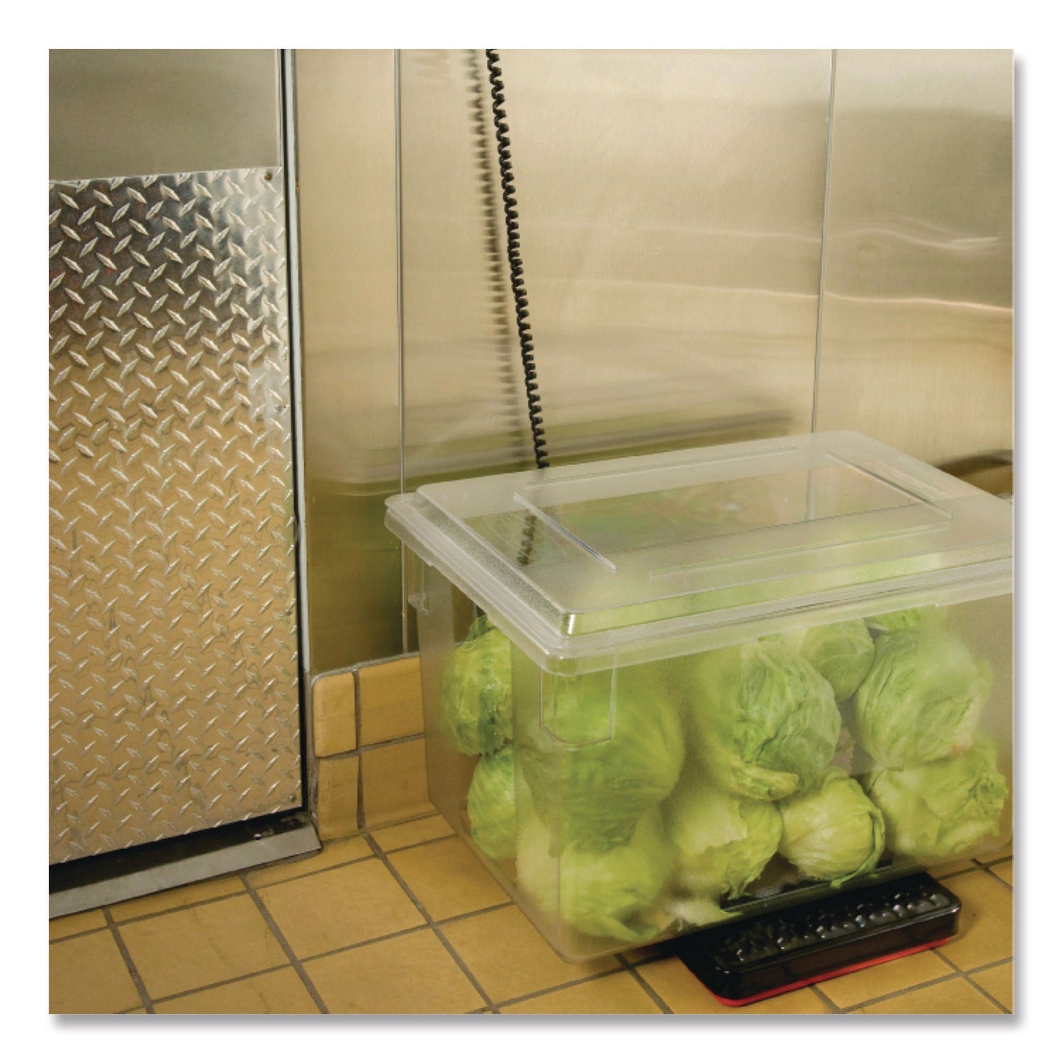 Rubbermaid® Commercial Digital Receiving Scale, 150 lb Capacity, Black/Red - Bloom Skins