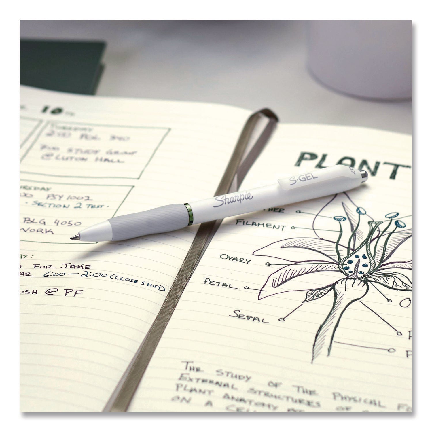 Sharpie® S-Gel™ S-Gel Fashion Barrel Gel Pen, Retractable, Medium 0.7 mm, Assorted Ink, White Barrel, 8/Pack - Bloom Skins