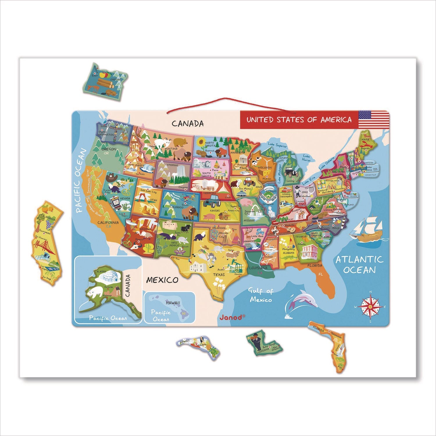 Janod® Cardboard Puzzle, United States Map Puzzle, 48 Pieces, Ages 7 to 12 - Bloom Skins