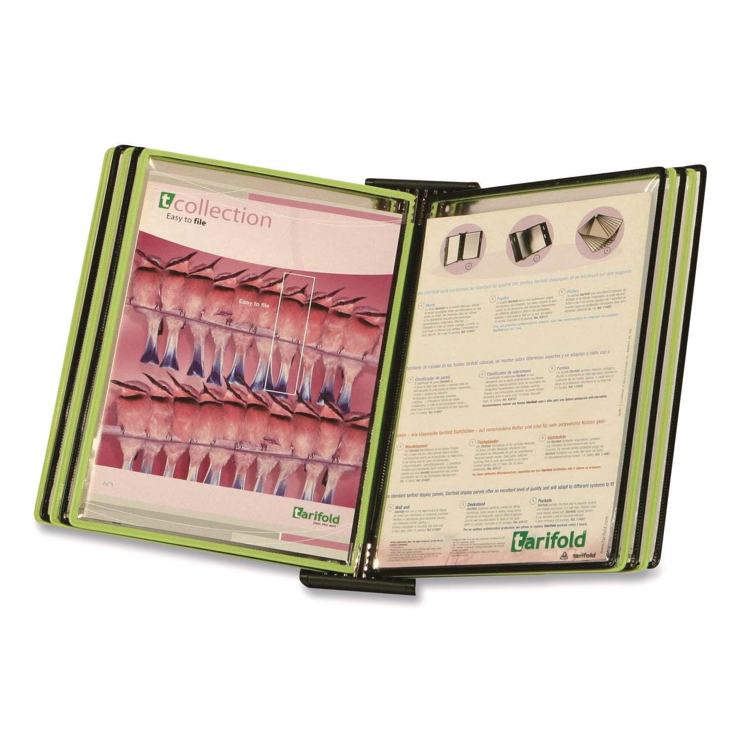 djois® by Tarifold Black Line Wall Reference System, 10 Panels with Black, Green Borders, Black Base - Bloom Skins