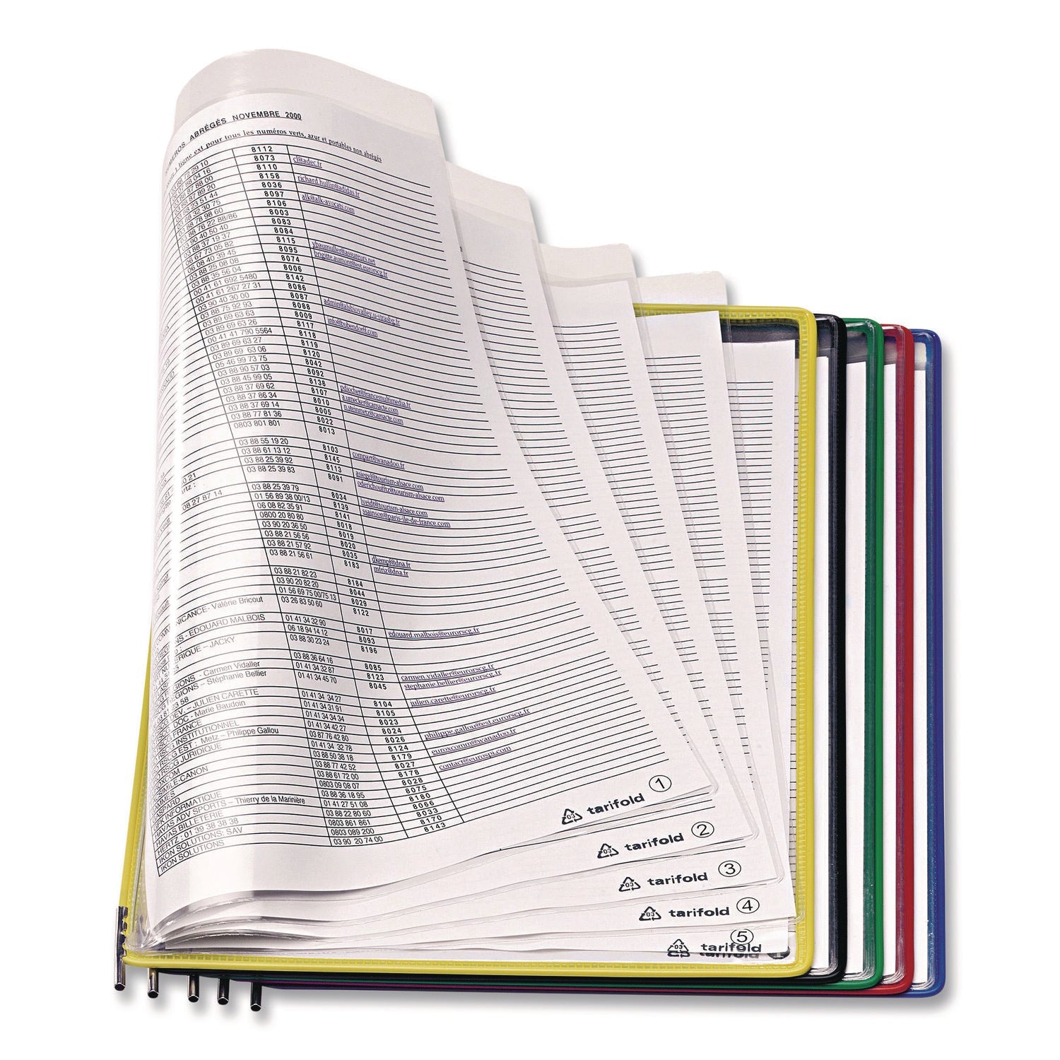 djois® by Tarifold Wall-Mount Display with Foldfive Expansion Pockets, 10 Panels with Assorted Borders - Bloom Skins