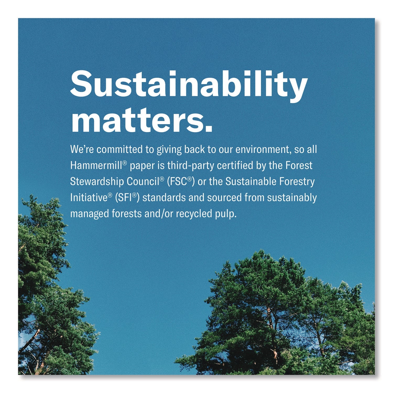 Hammermill® Premium Laser Print Paper, 98 Bright, 24 lb Bond Weight, 8.5 x 11, White, 500/Ream, 10 Reams/Carton - Bloom Skins