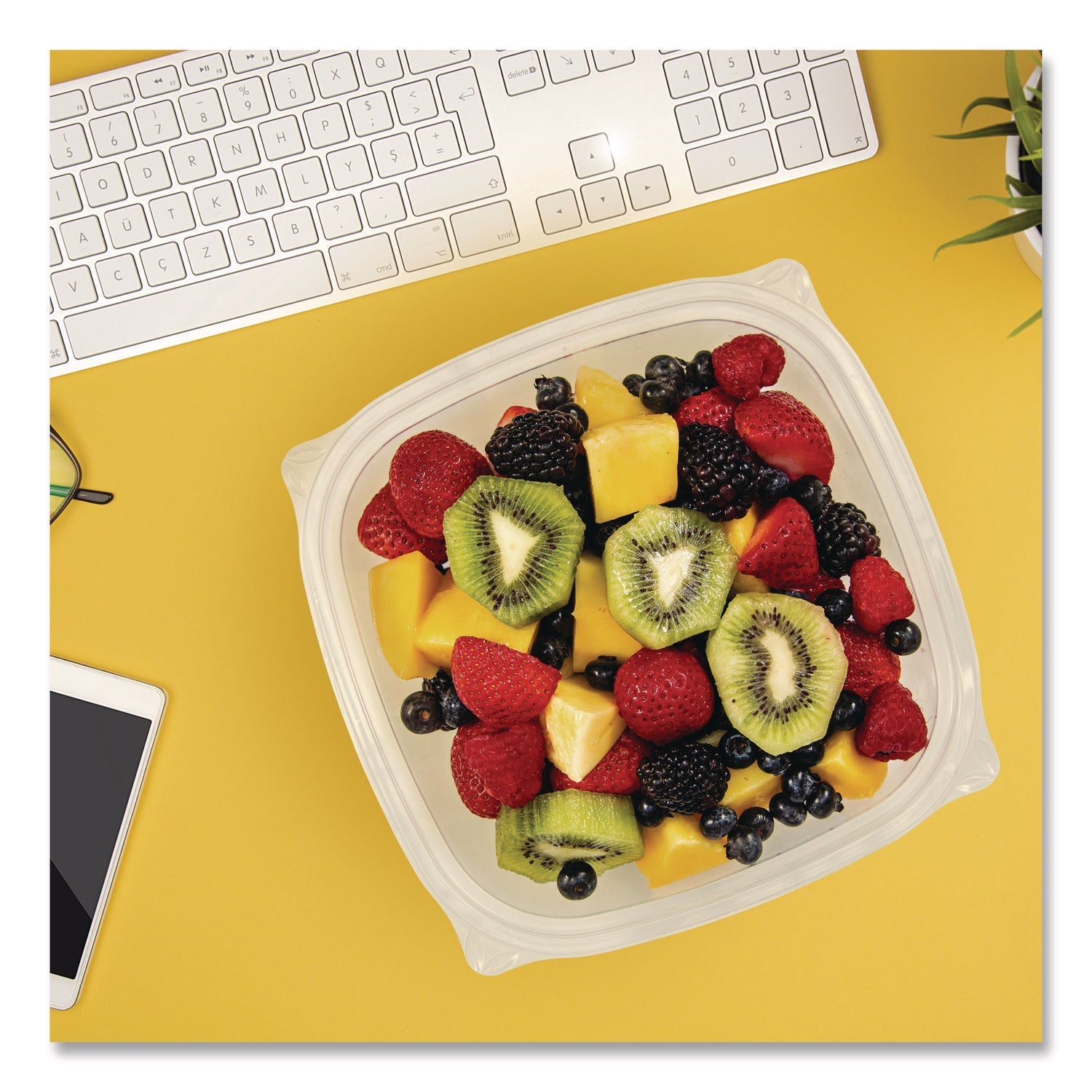 Dart® Square Plastic Bowls, 32 oz, 5 x 5 x 1.49, Clear, Plastic, 63 Bowls/Sleeve, 4 Sleeves/Carton - Bloom Skins