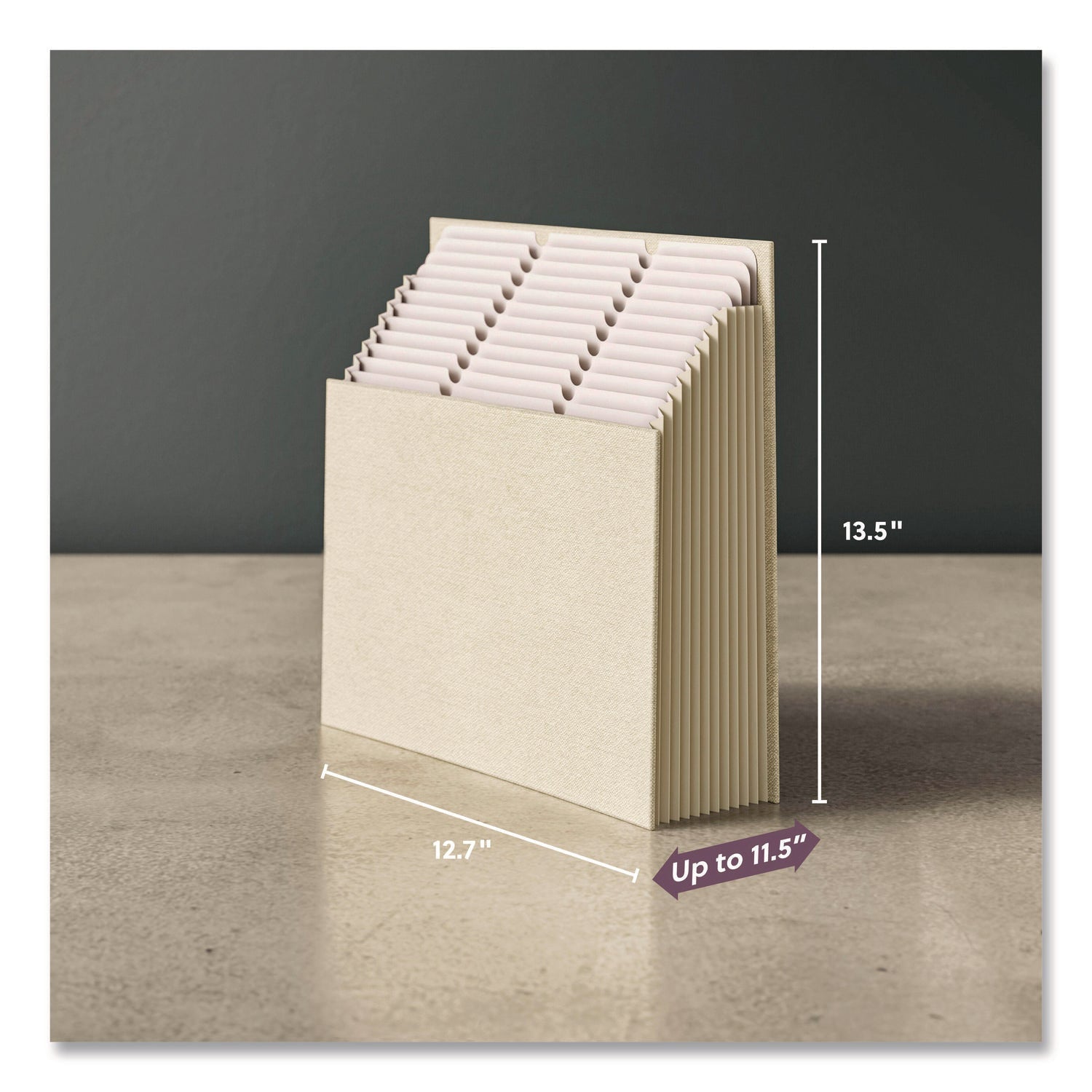 Smead Stadium File, 10.5" Expansion, 12 Sections, 1/3-Cut Tabs, Letter Size, Beige - Bloom Skins
