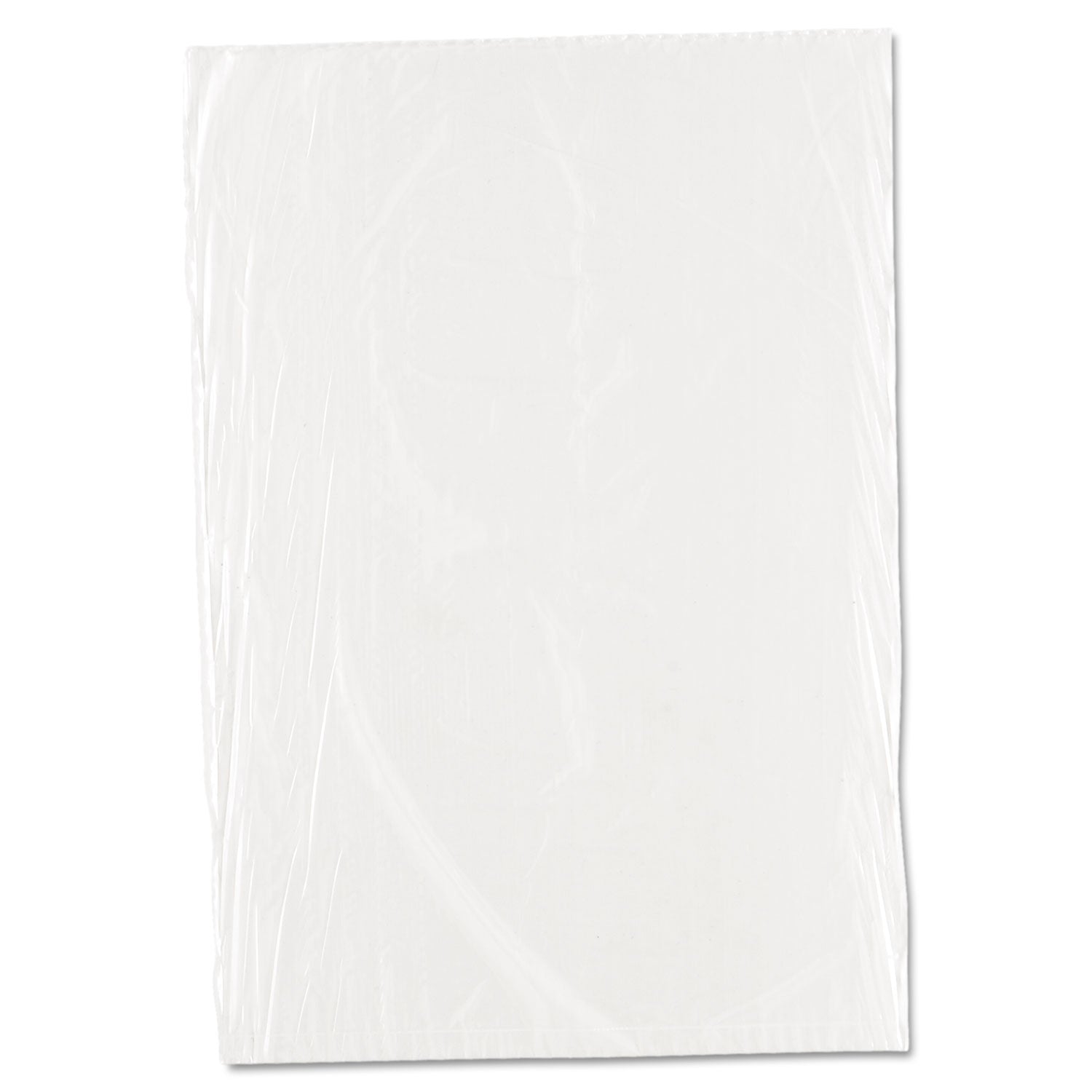 Inteplast Group Food Bags | 10x14, 1000/Carton