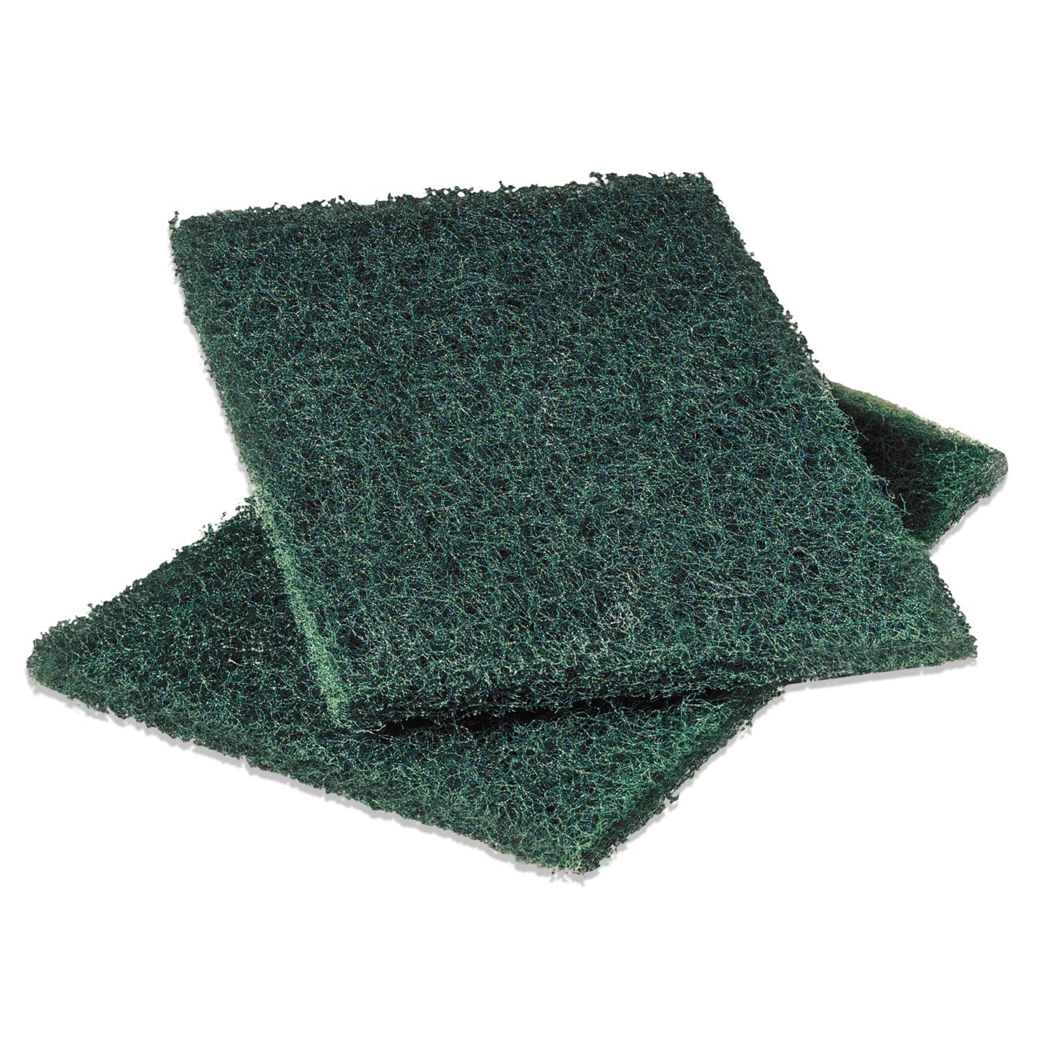 Heavy-Duty Scouring Pad | 12-Pack