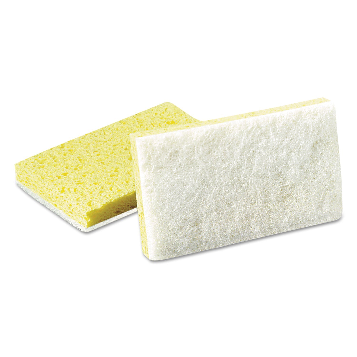 Scotch-Brite Light-Duty Scrubbing Sponge | 20-Pk