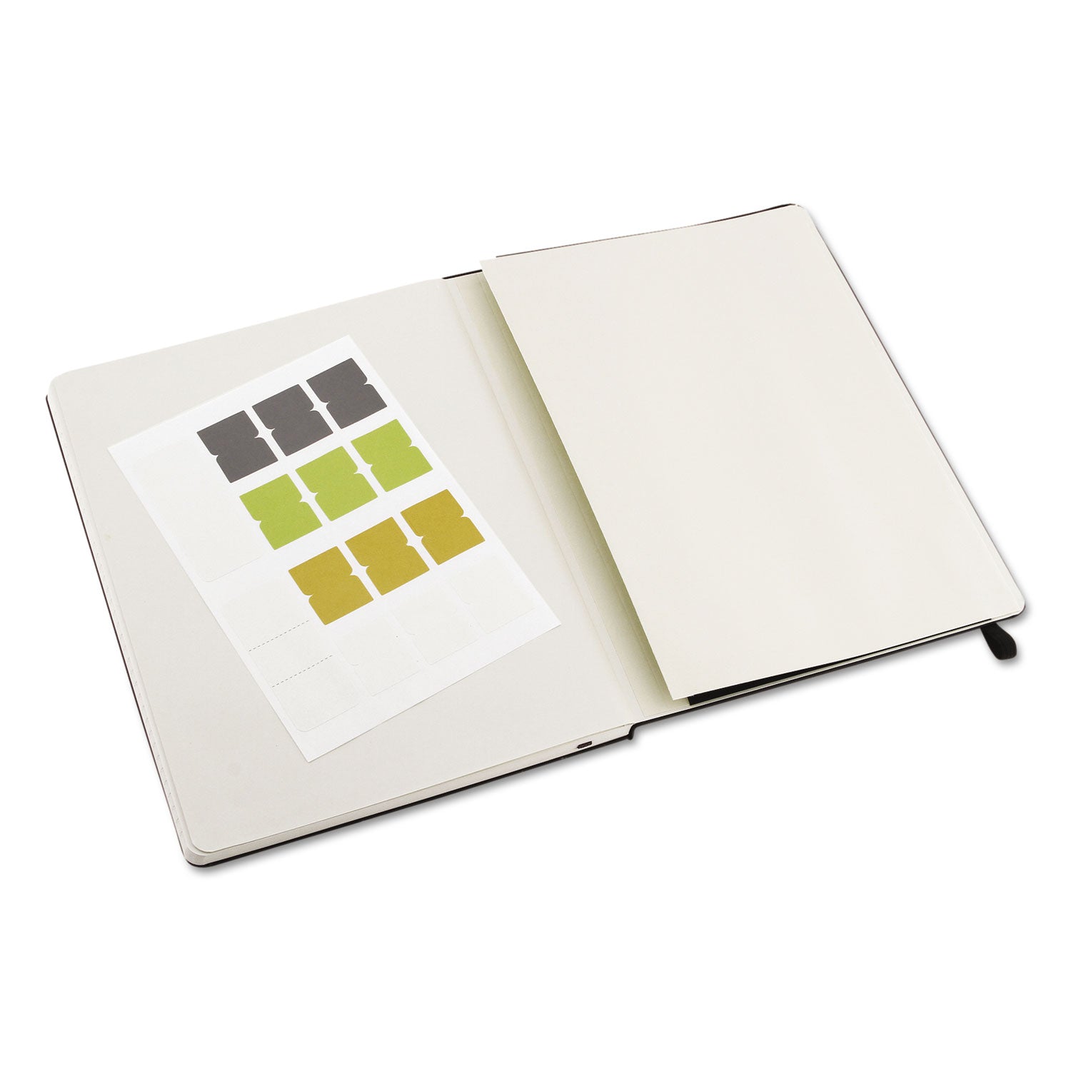 Moleskine® Professional Notebook, 1-Subject, Narrow Rule, Black Hardcover, (192) 9.75 x 7.5 Sheets - Bloom Skins