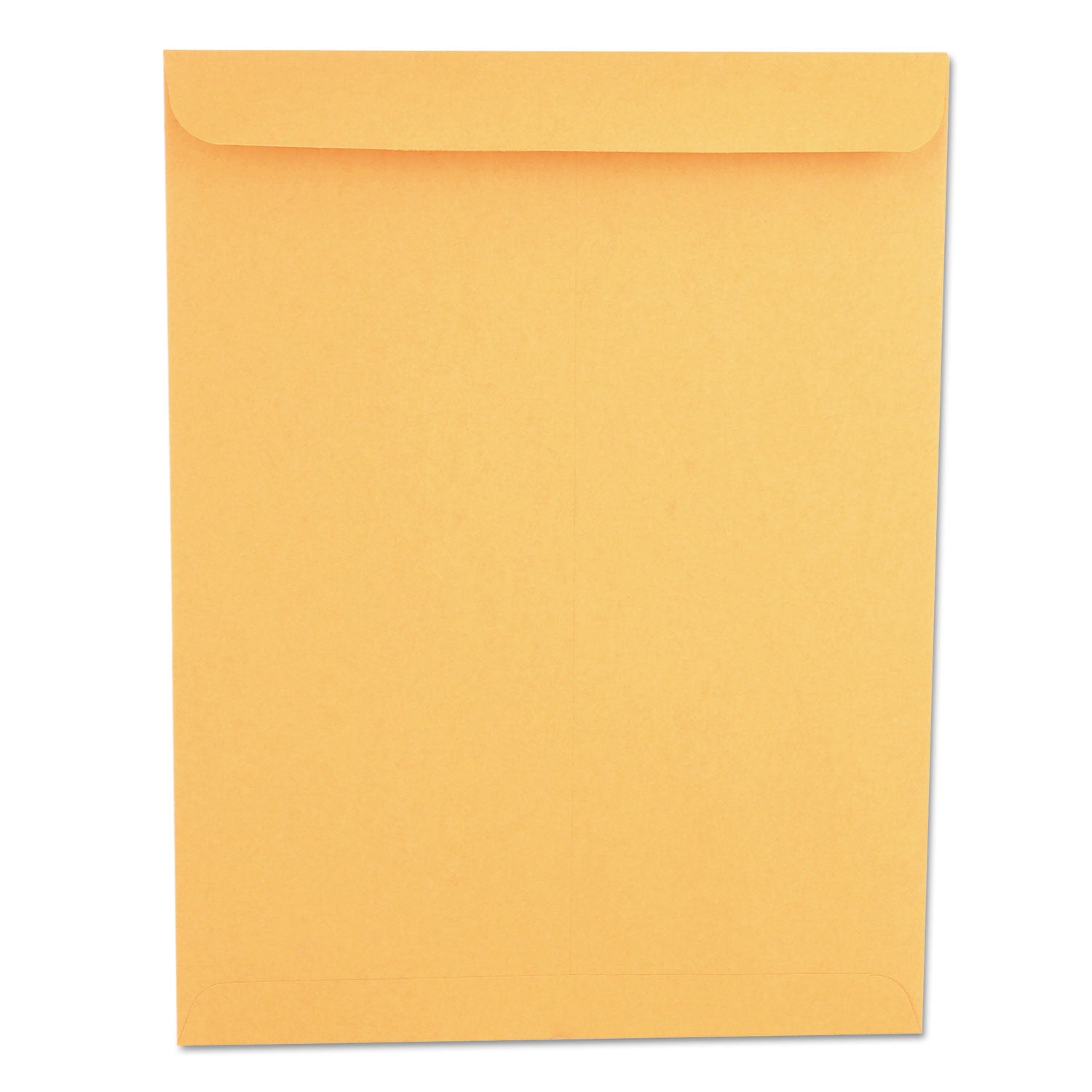 Catalog Envelope | 10x13 Kraft | 250/Box