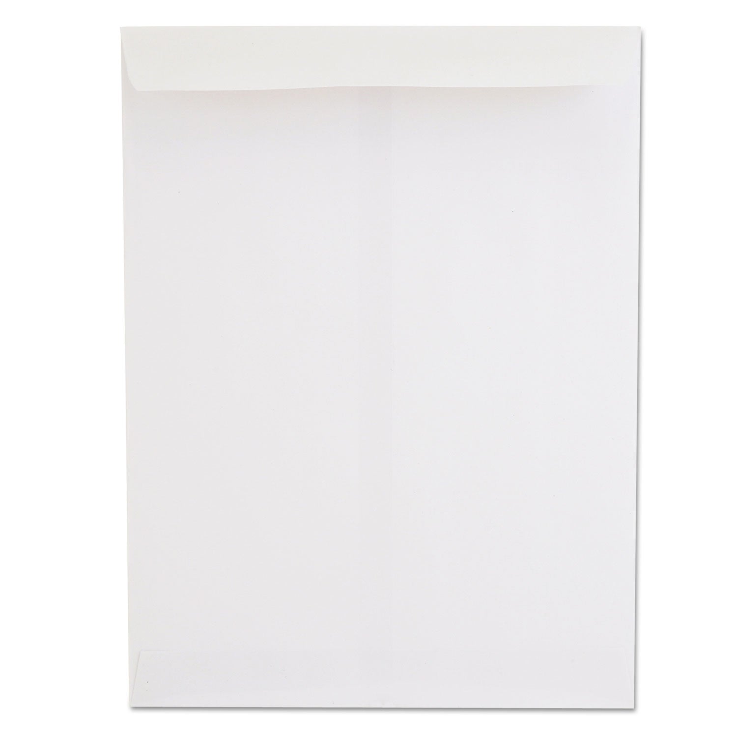 Universal Catalog Envelope | #10 1/2, 250/Box