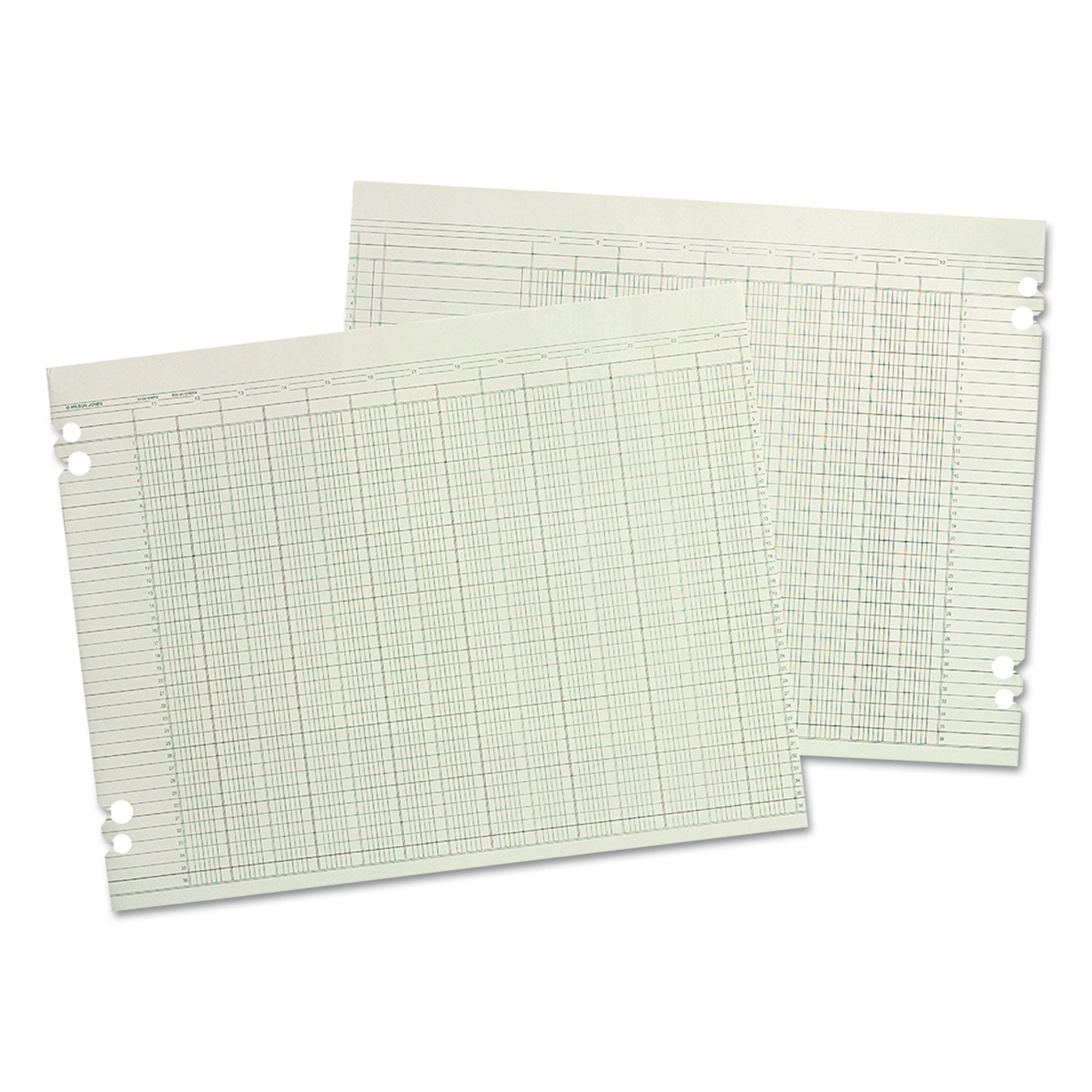Wilson Jones® Accounting Sheets, 10 Columns, 9.25 X 11.88, Green, Loose Sheet, 100/pack