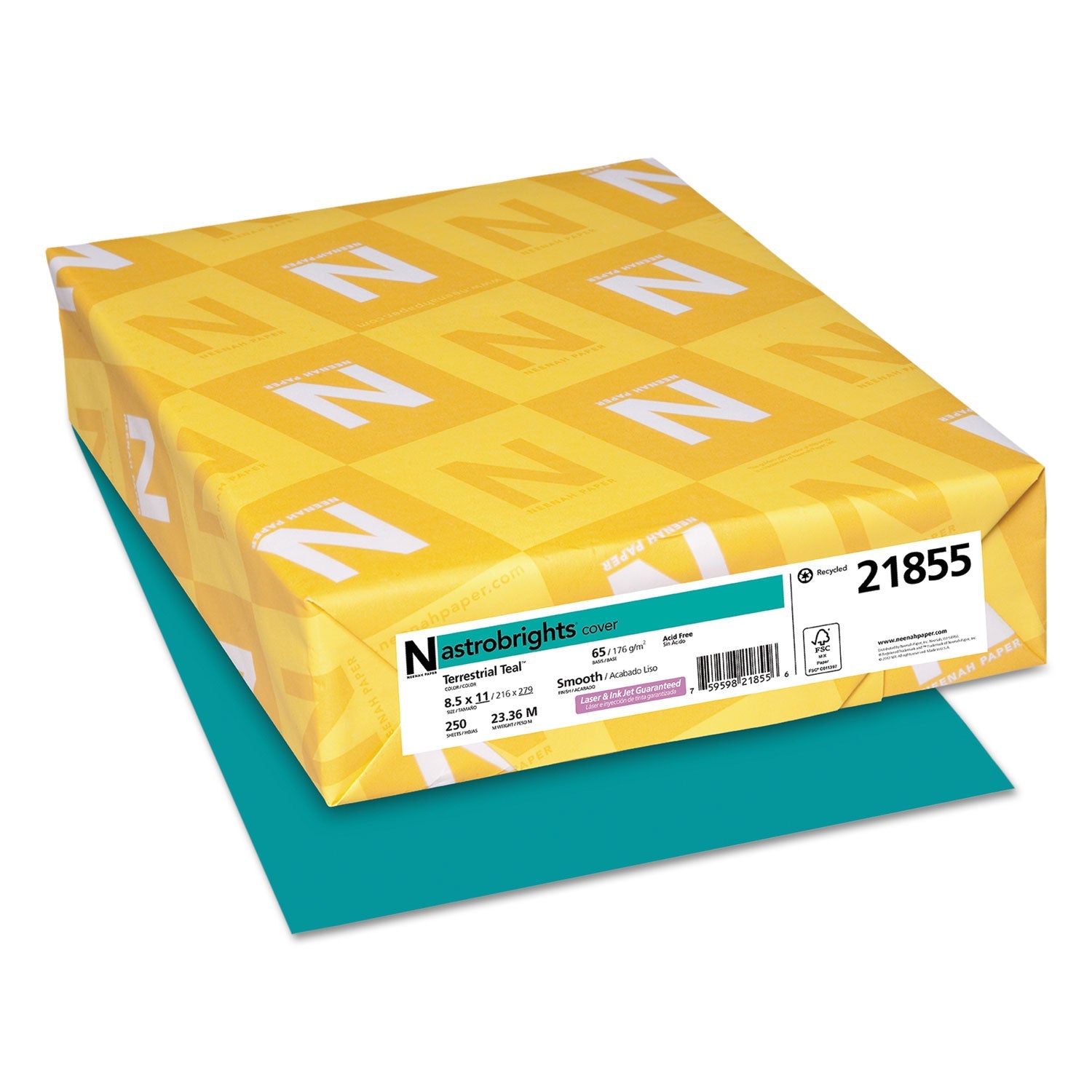 Terrestrial Teal Cardstock | 65lb, 250/Pack