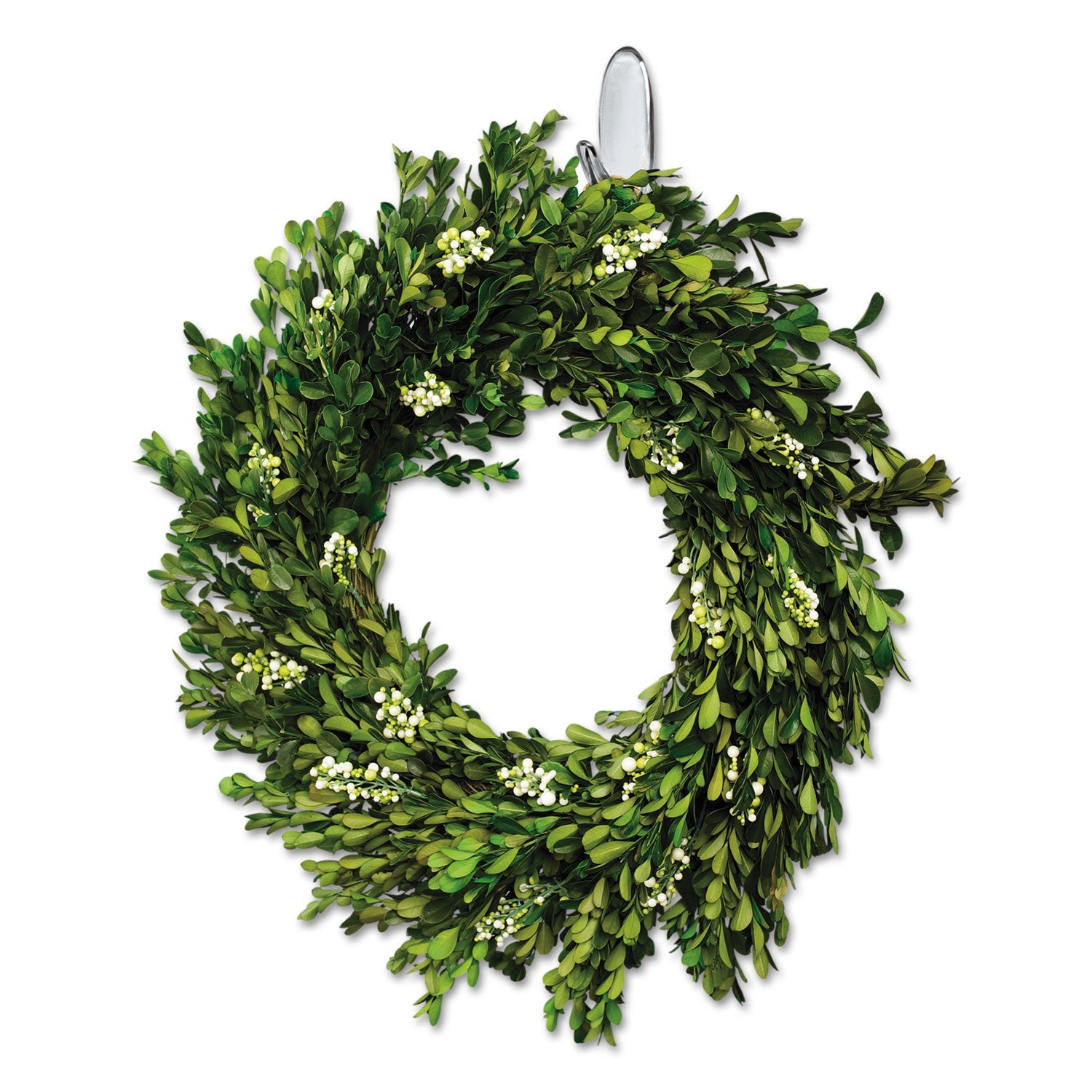 Command™ Clear Hooks and Strips, Medium, Plastic, 2 lb Capacity, 6 Hooks and 12 Strips/Pack