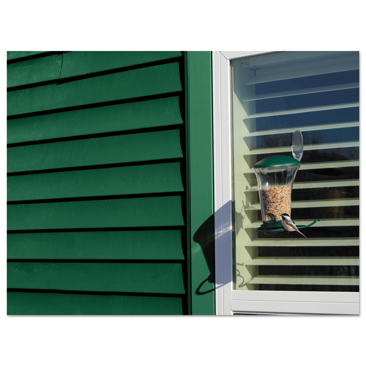 Command™ All Weather Hooks and Strips, Large, Plastic, Clear, 4 lb Capacity, 1 Hook and 2 Strips/Pack