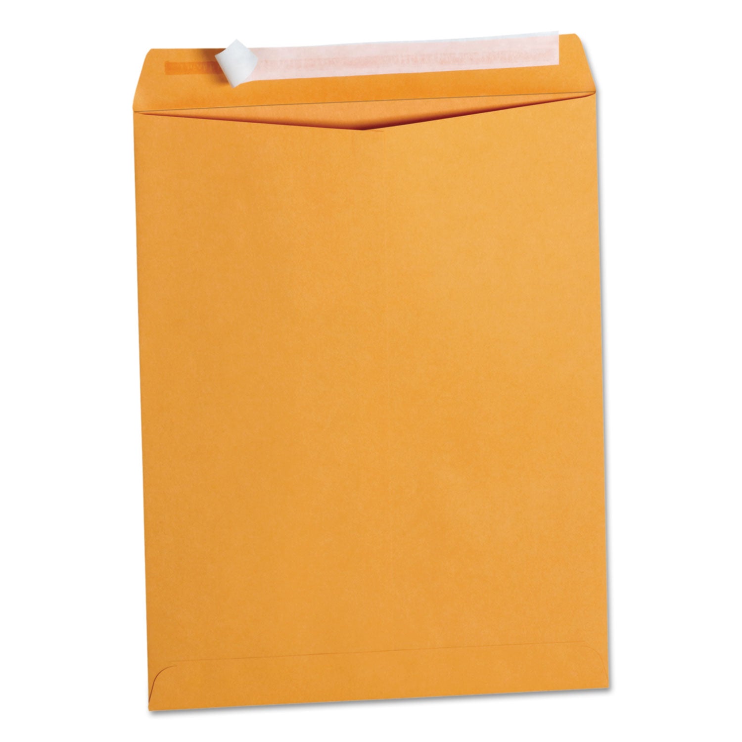 Peel & Seal Catalog Envelope | #13 1/2 | 100/box