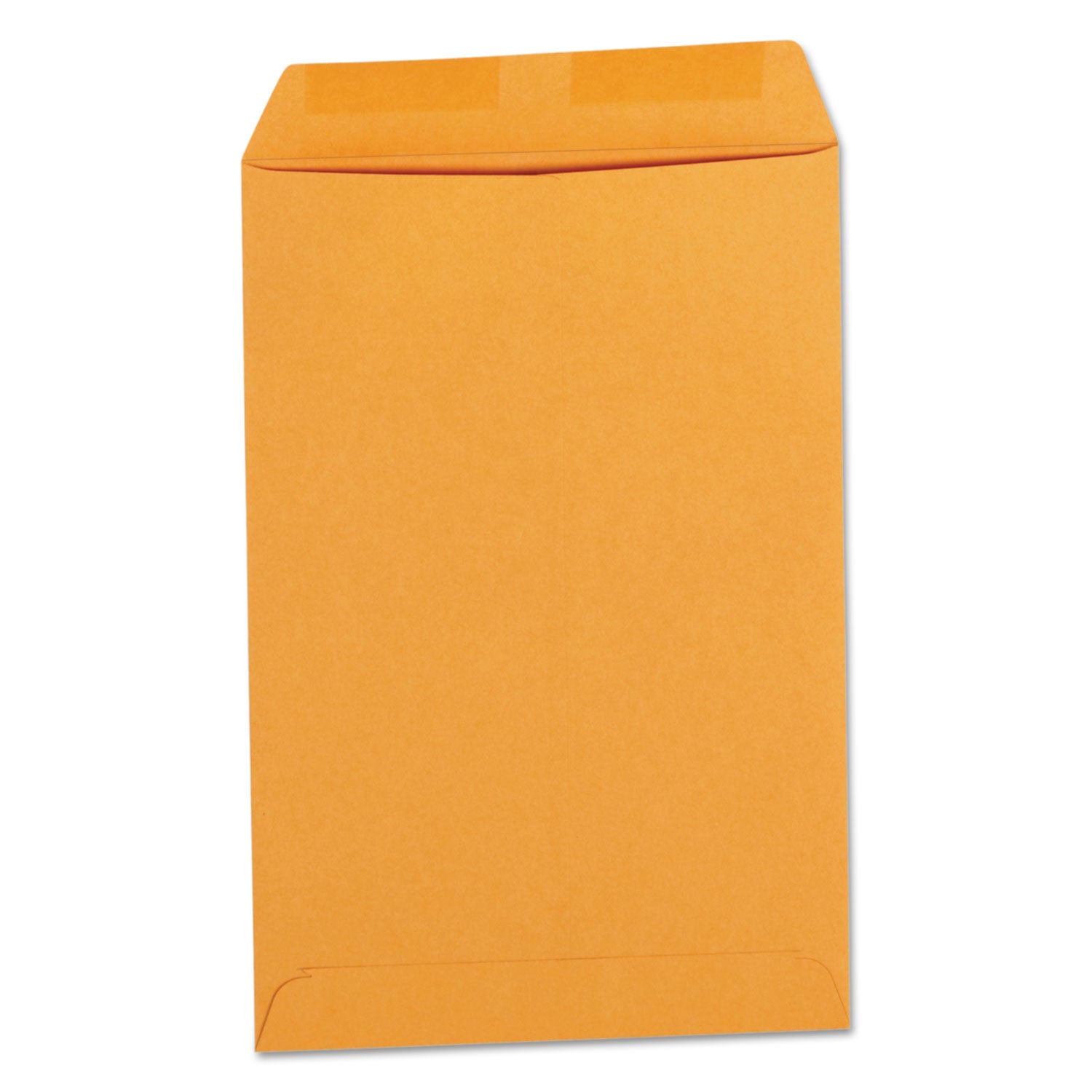 Catalog Envelope | 6x9 Kraft | 500/Box