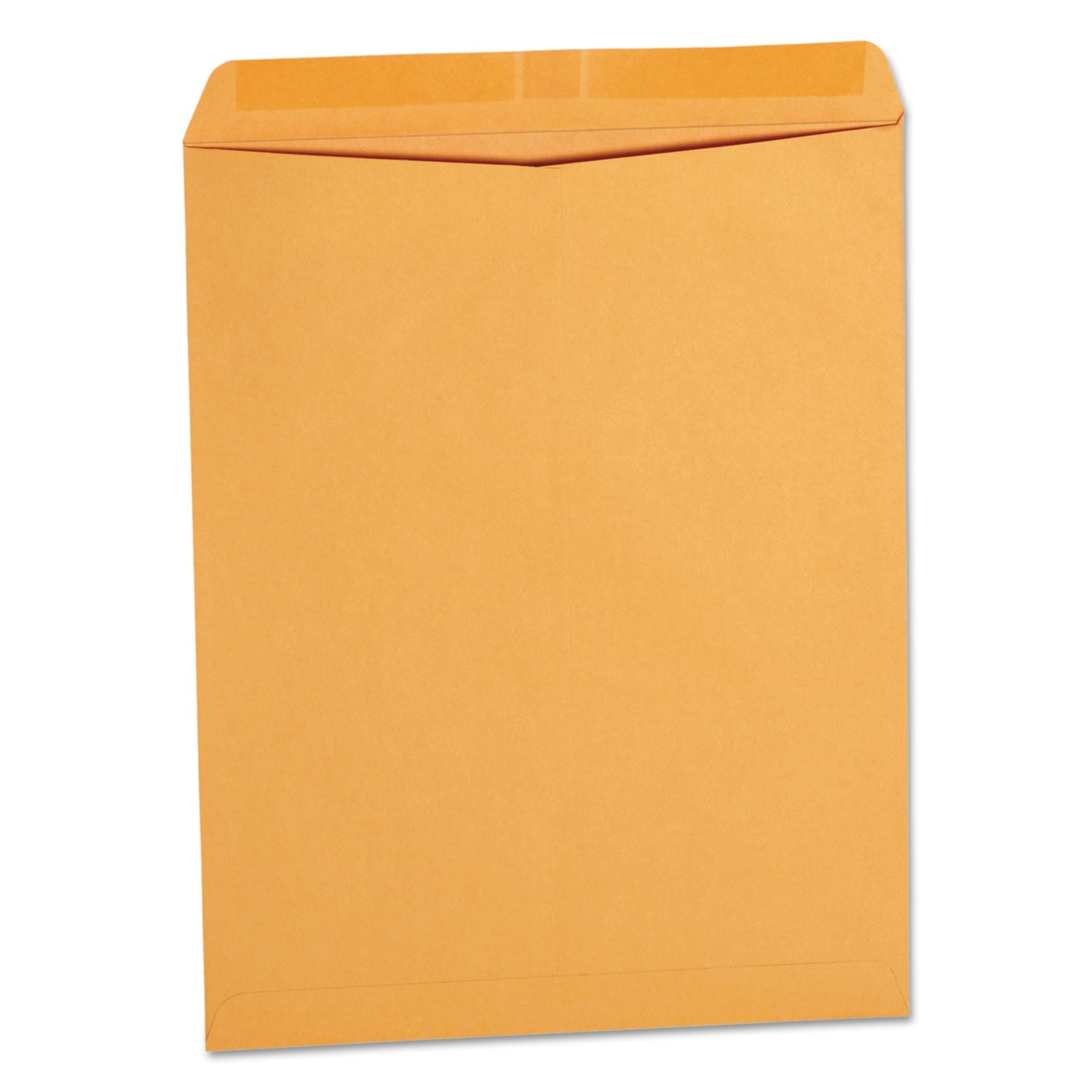 Universal Catalog Envelope | #14 1/2, 250/Box