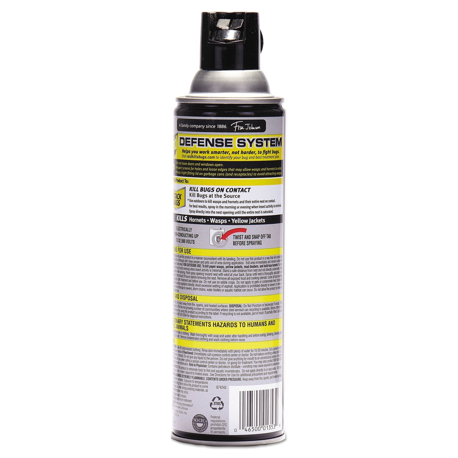 Raid® Wasp and Hornet Killer, 14 oz Aerosol Spray