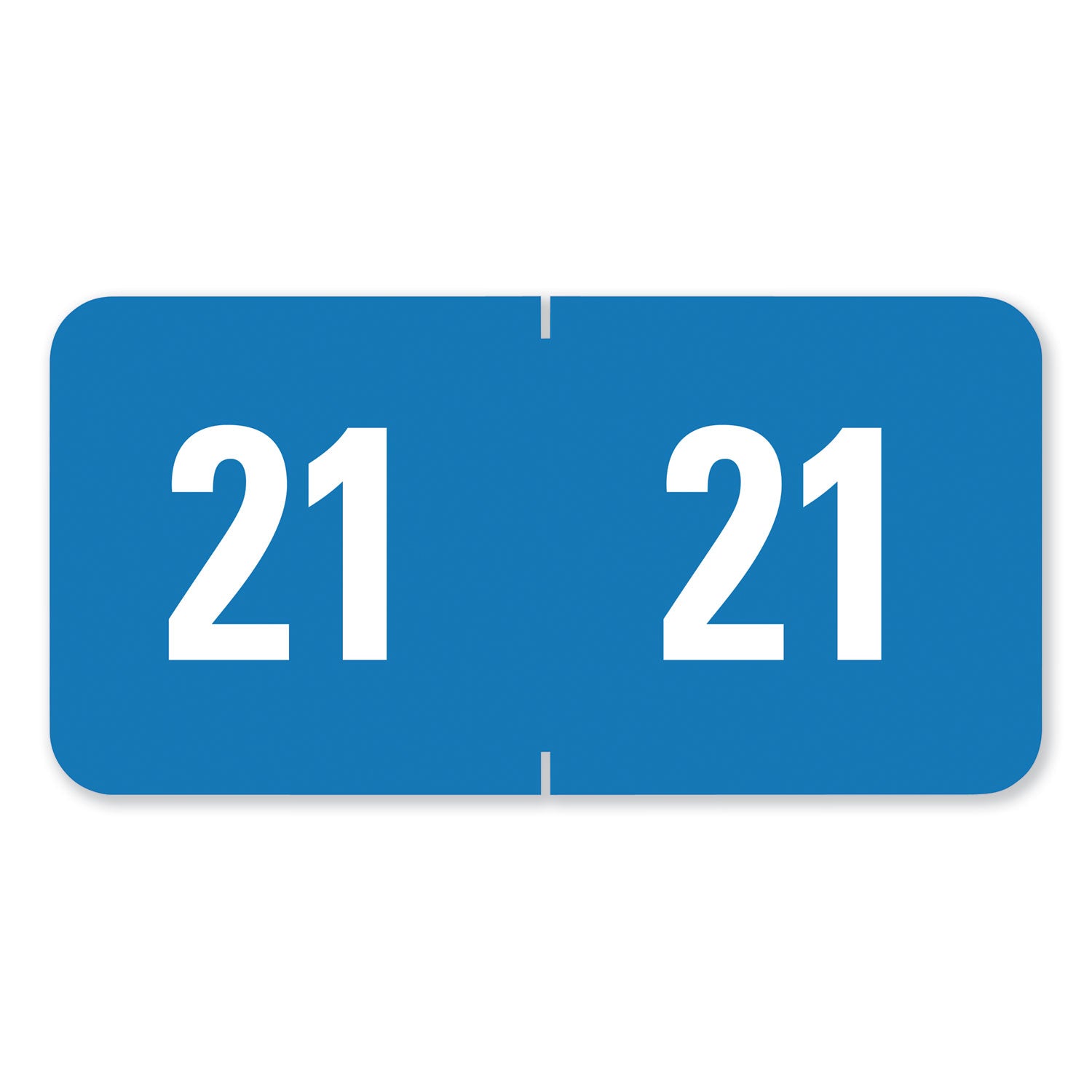 Year 2021 End Tab Folder Labels | 250 Labels/Pack