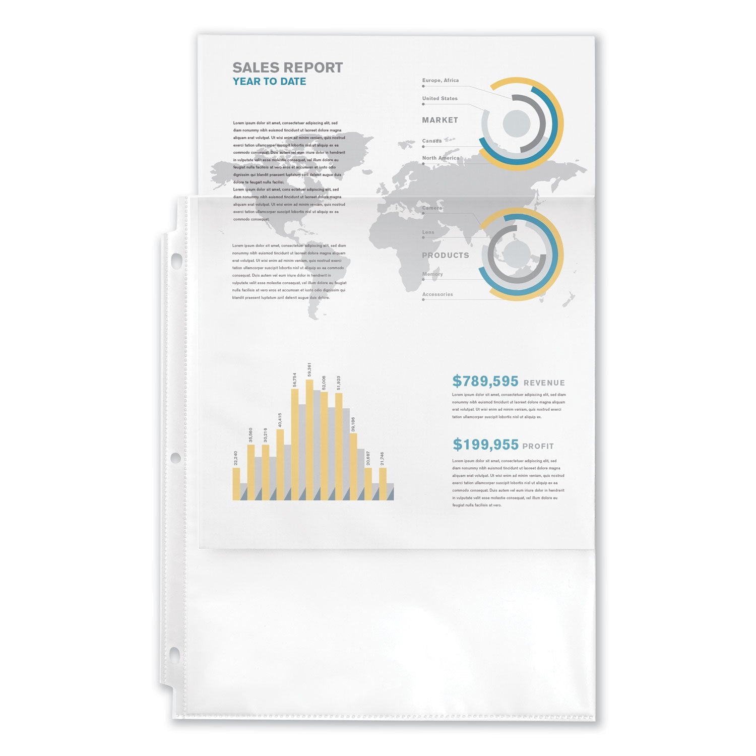 Avery® Top-Load Sheet Protector, Economy Gauge, Letter, Clear, 100/box