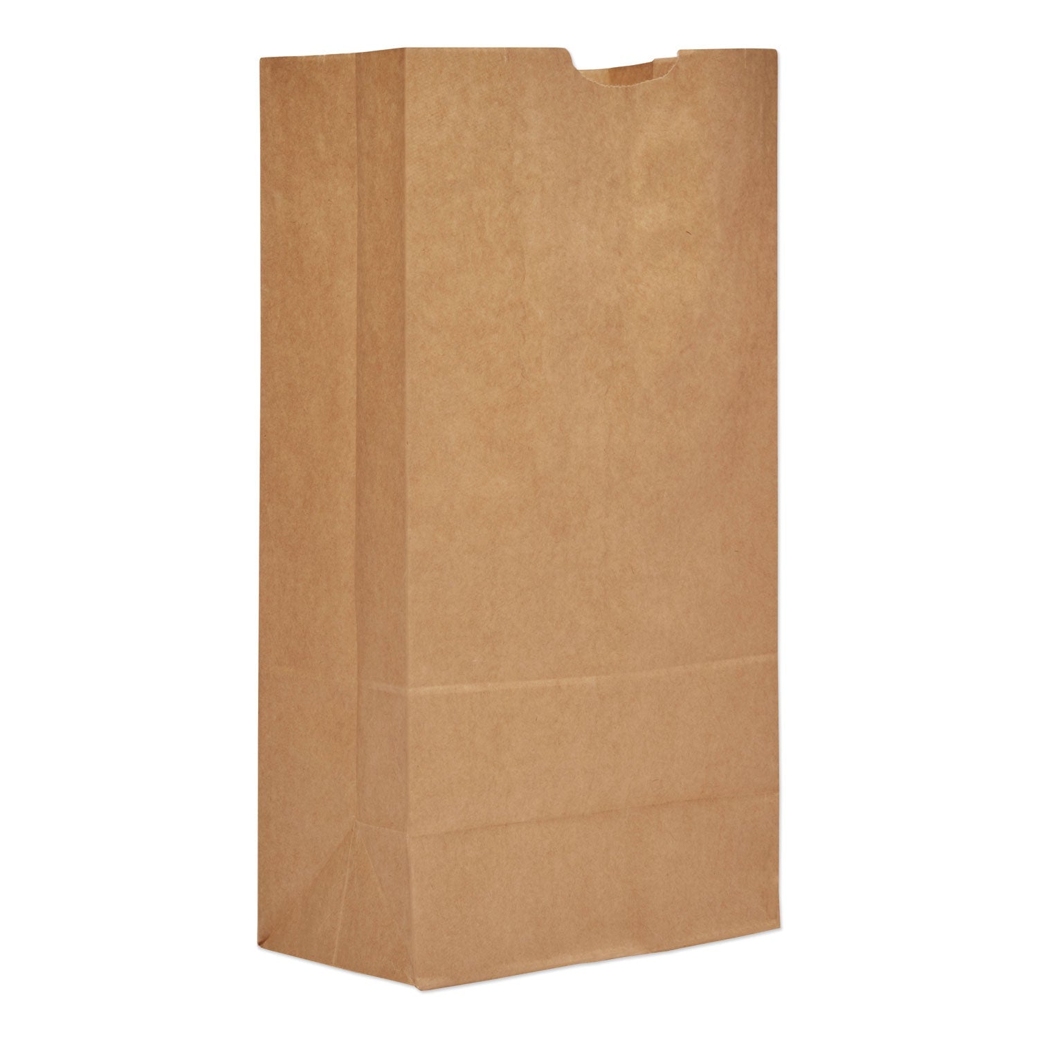 Ross & Wallace Paper Products Grocery Paper Bags, #20 Size, Heavy-Duty, 8.25" x 5.25" x 16.13", Natural, 500/Bundle