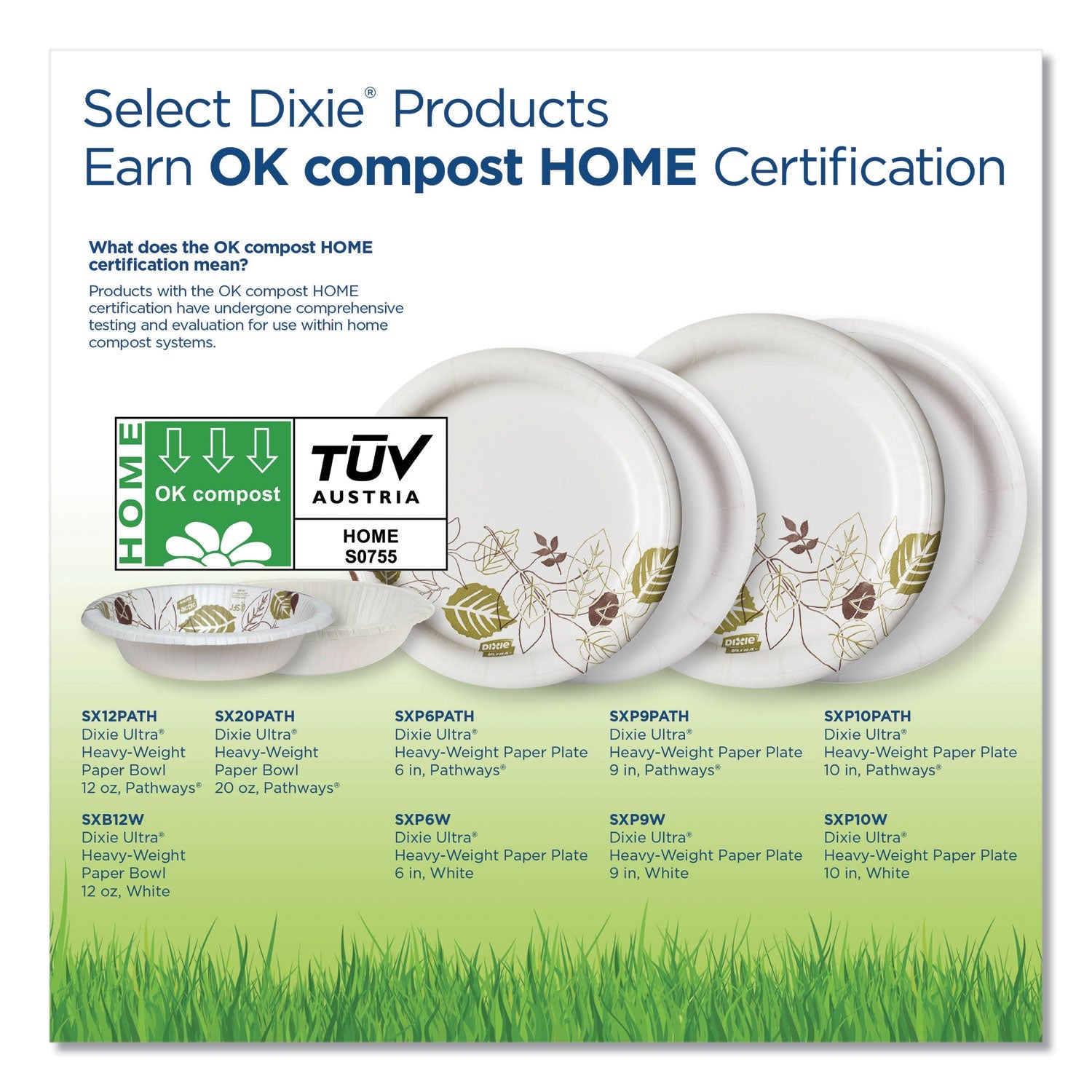 Dixie® Pathways Soak Proof Shield Heavyweight Paper Plates, Wisesize, 8.5" Dia, Green/burgundy, 500/carton