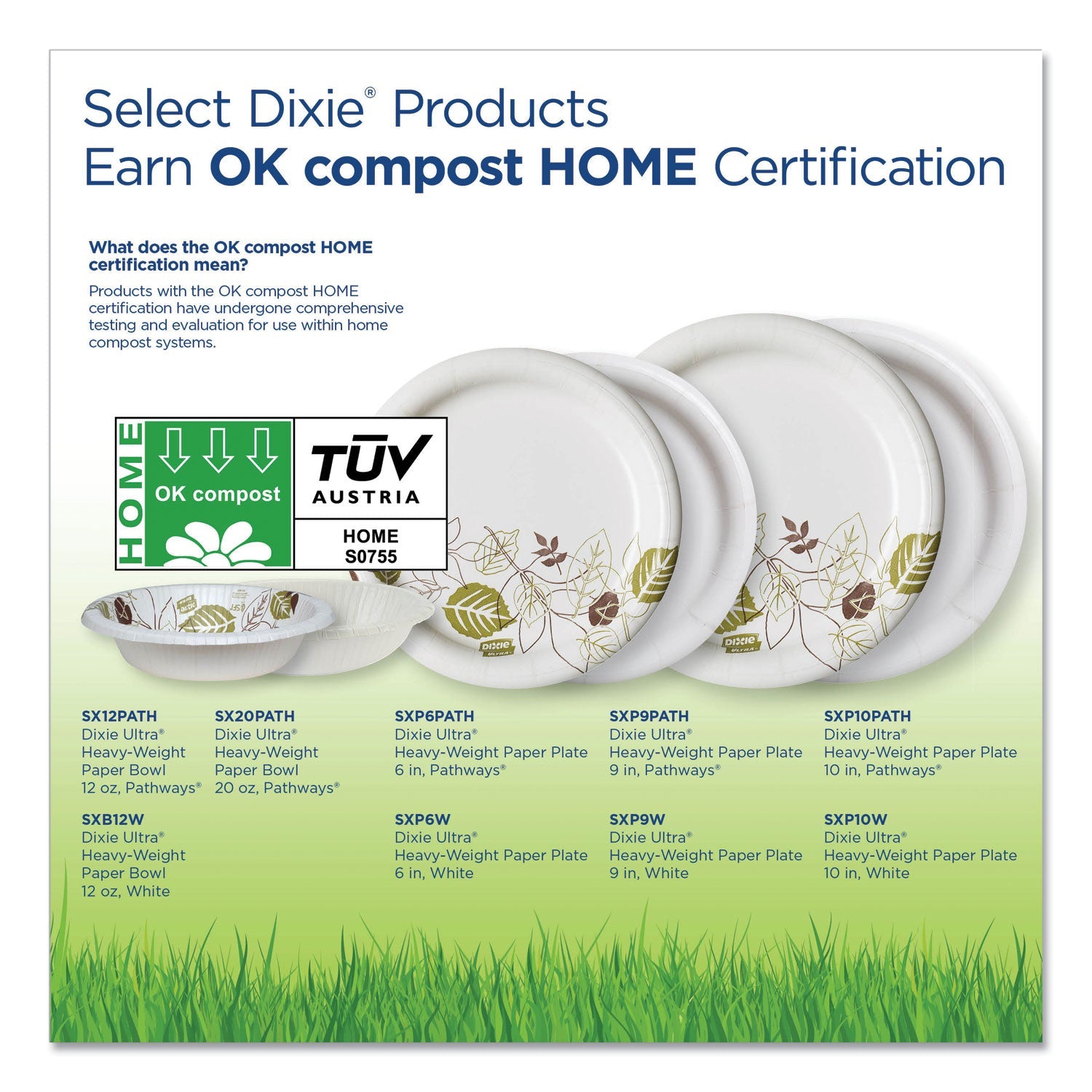 Dixie® Pathways Heavyweight Paper Bowls, 20 Oz, Green/burgundy, 500/carton