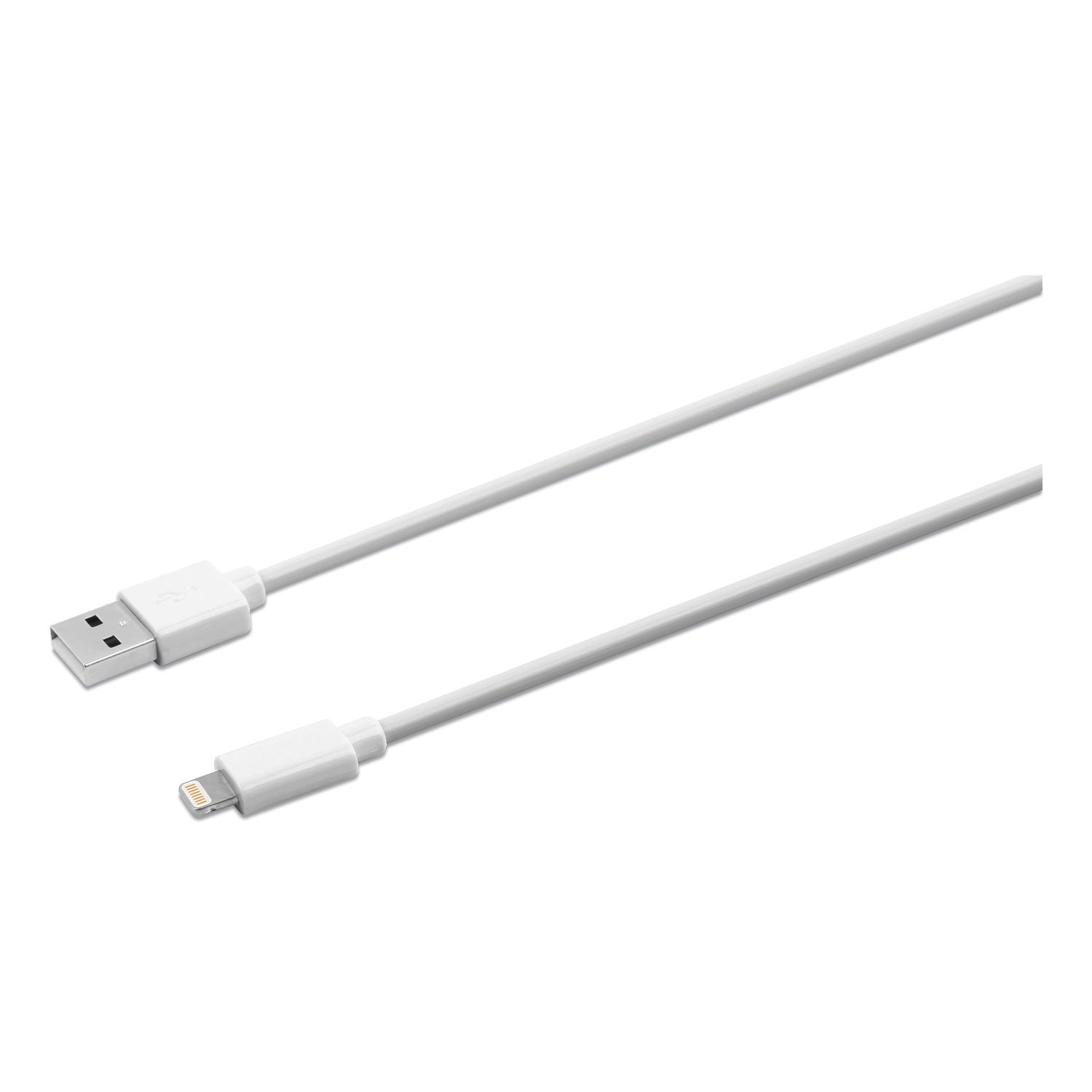 USB Apple Lightning Cable | 10 ft, White