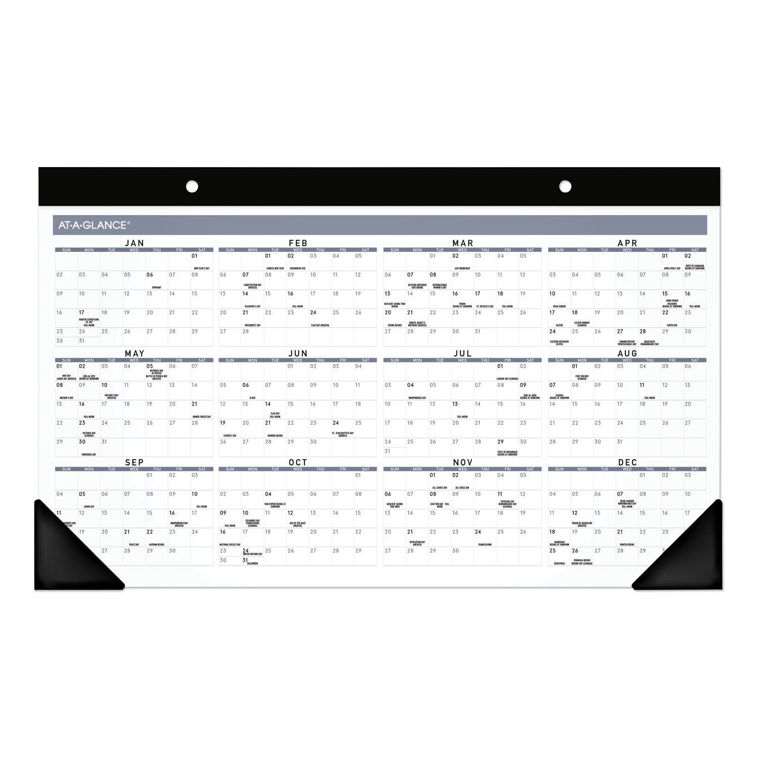 AT-A-GLANCE® Contemporary Monthly Desk Pad, 18 x 11, White Sheets, Black Binding/Corners,12-Month (Jan to Dec): 2025 - Bloom Skins