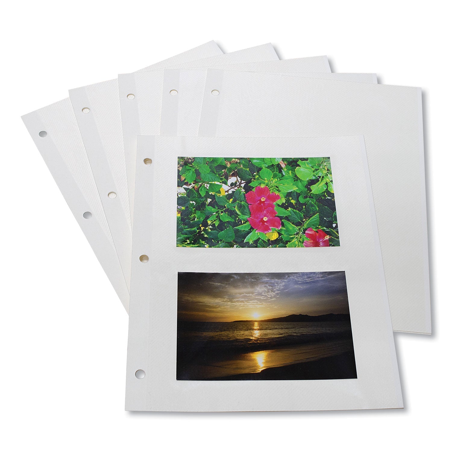 C-Line® Redi-Mount Photo-Mounting Sheets, 11 X 9, 50/box