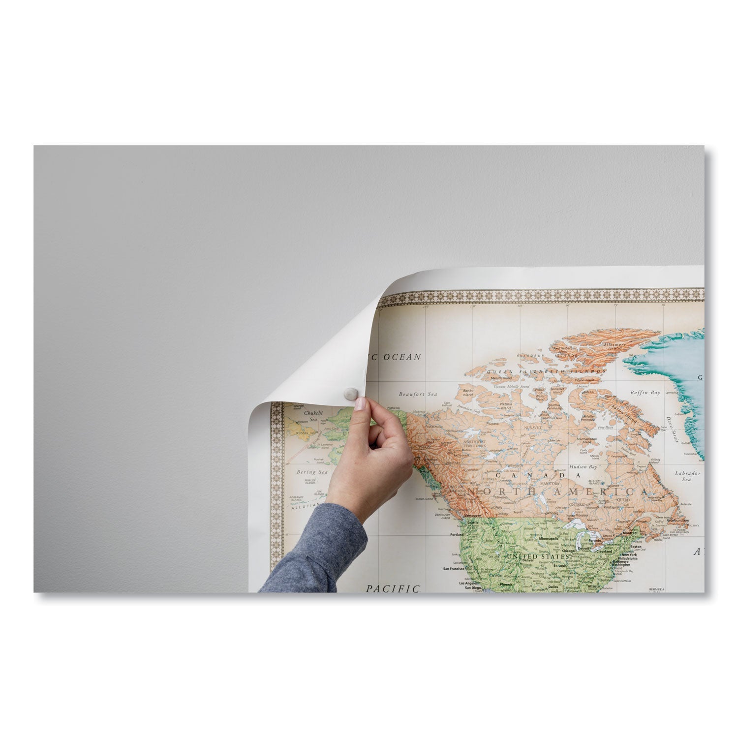 Duck® Poster Putty, Pliable And Reusable, 2 Oz