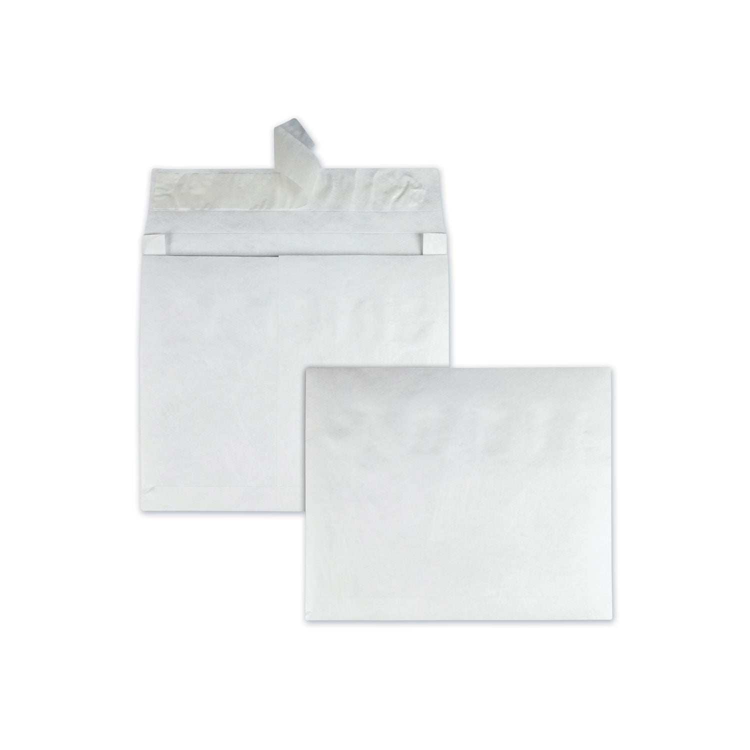 Tyvek Heavyweight Mailers | 10x13, 100-Count