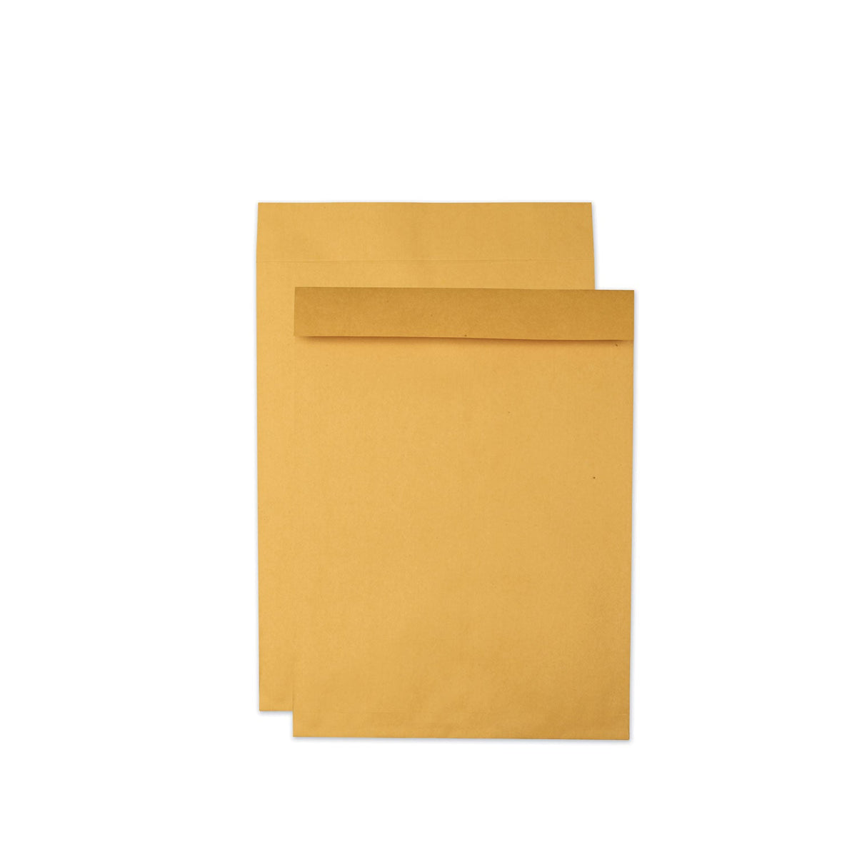 Quality Park Jumbo Size Kraft Envelope | 17x22