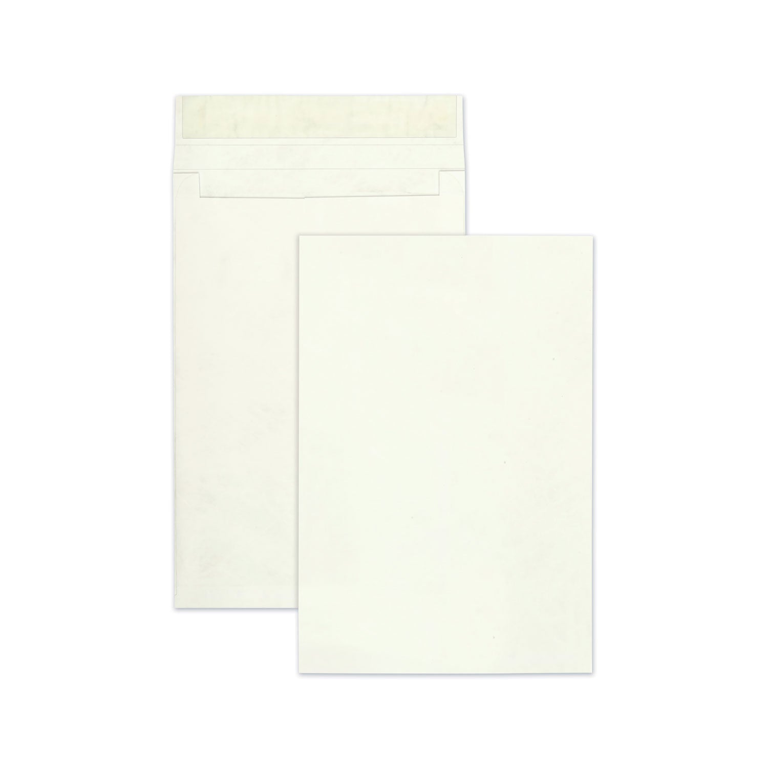 Survivor Tyvek Open End Expansion Mailer Value Pk