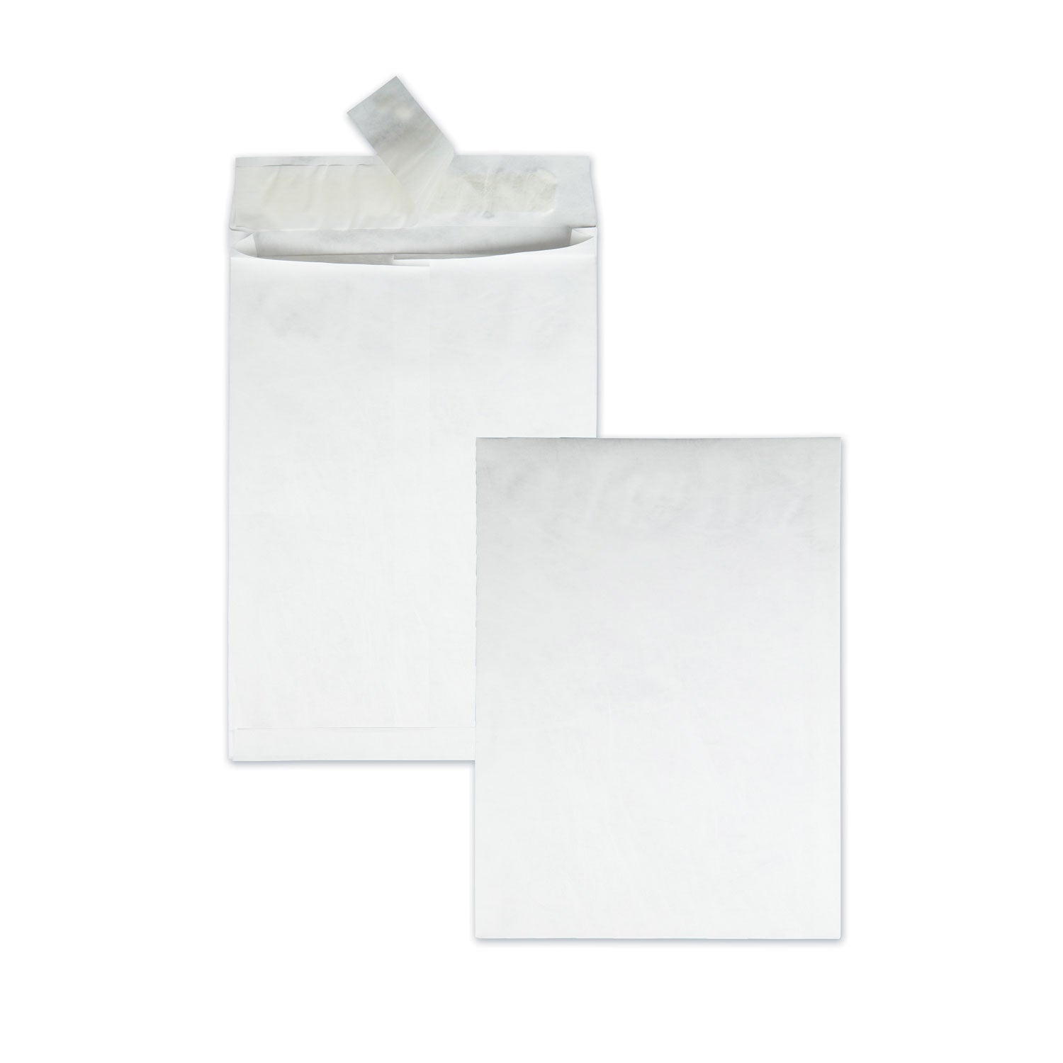 Tyvek Expansion Mailers | 10x13, 100-Count