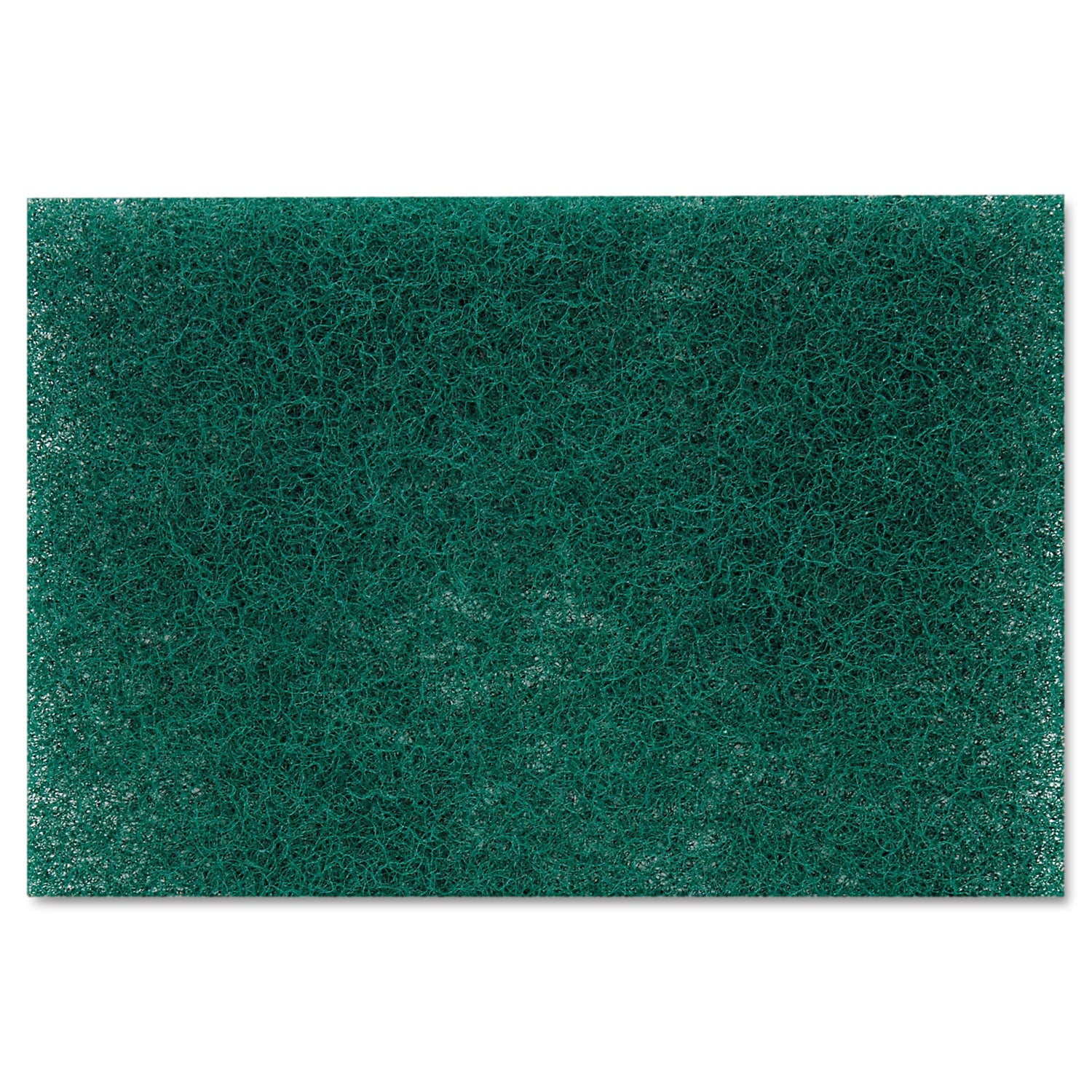 Heavy Duty Scouring Pad | For Tough Messes