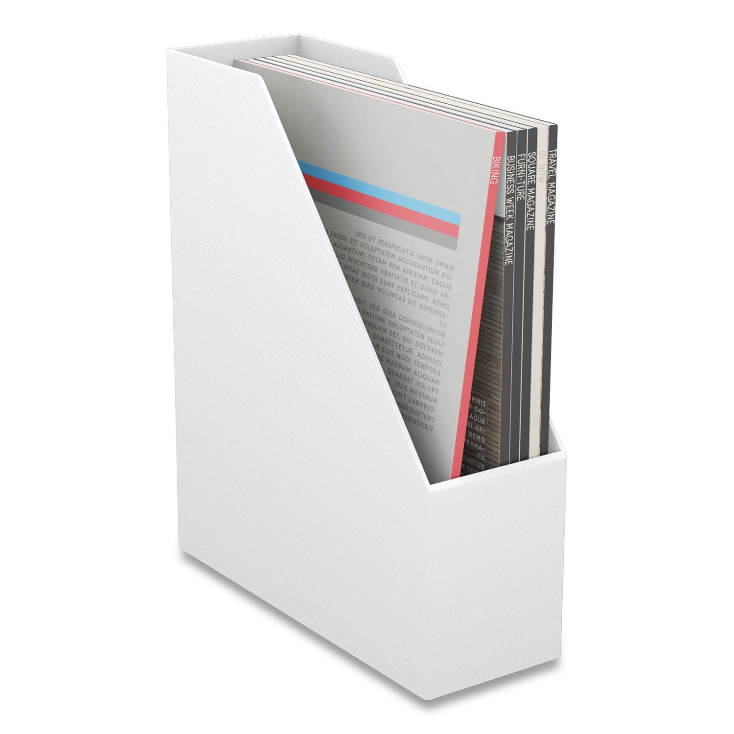 TRU RED™ Plastic Magazine File, 3.66 X 10.3 X 12.51, White