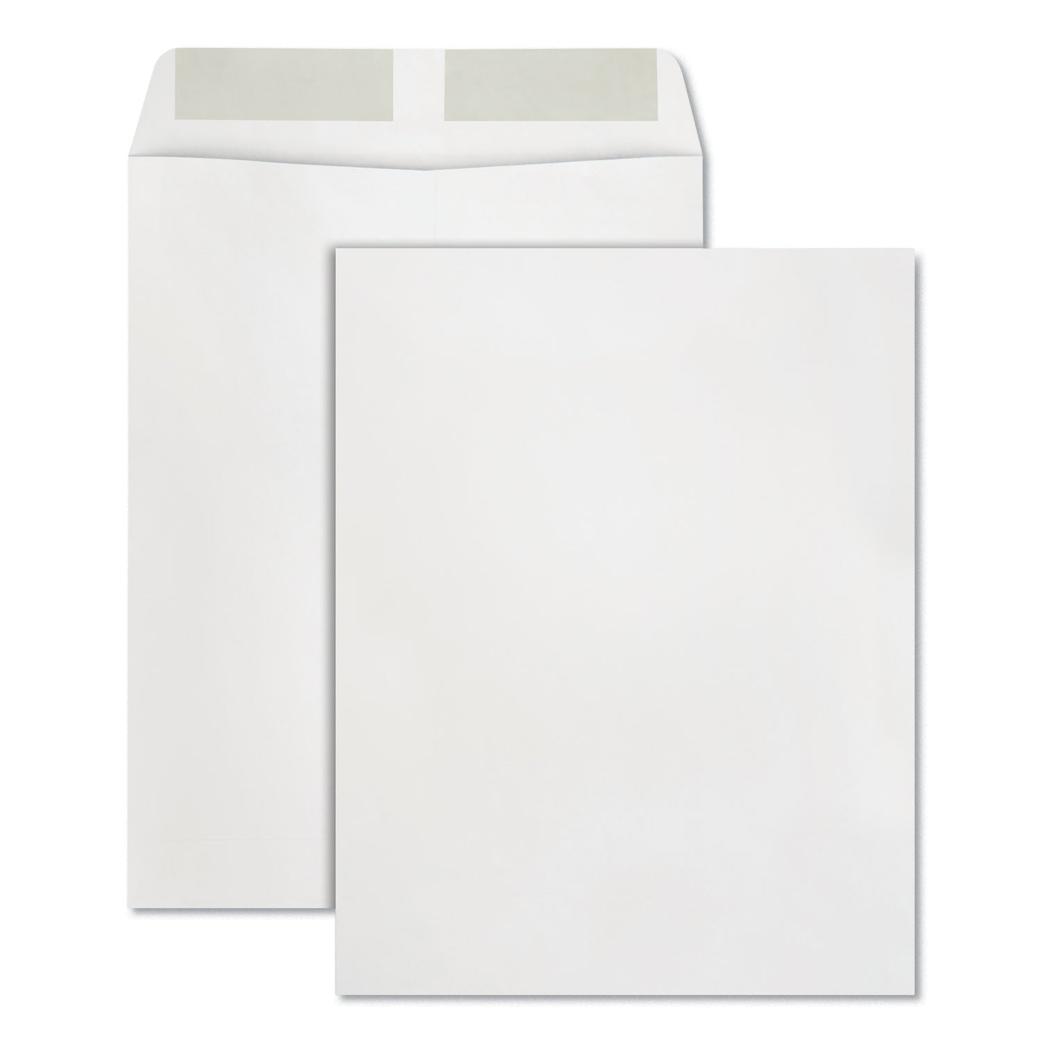 Quality Park Catalog Envelope | #13.5 White