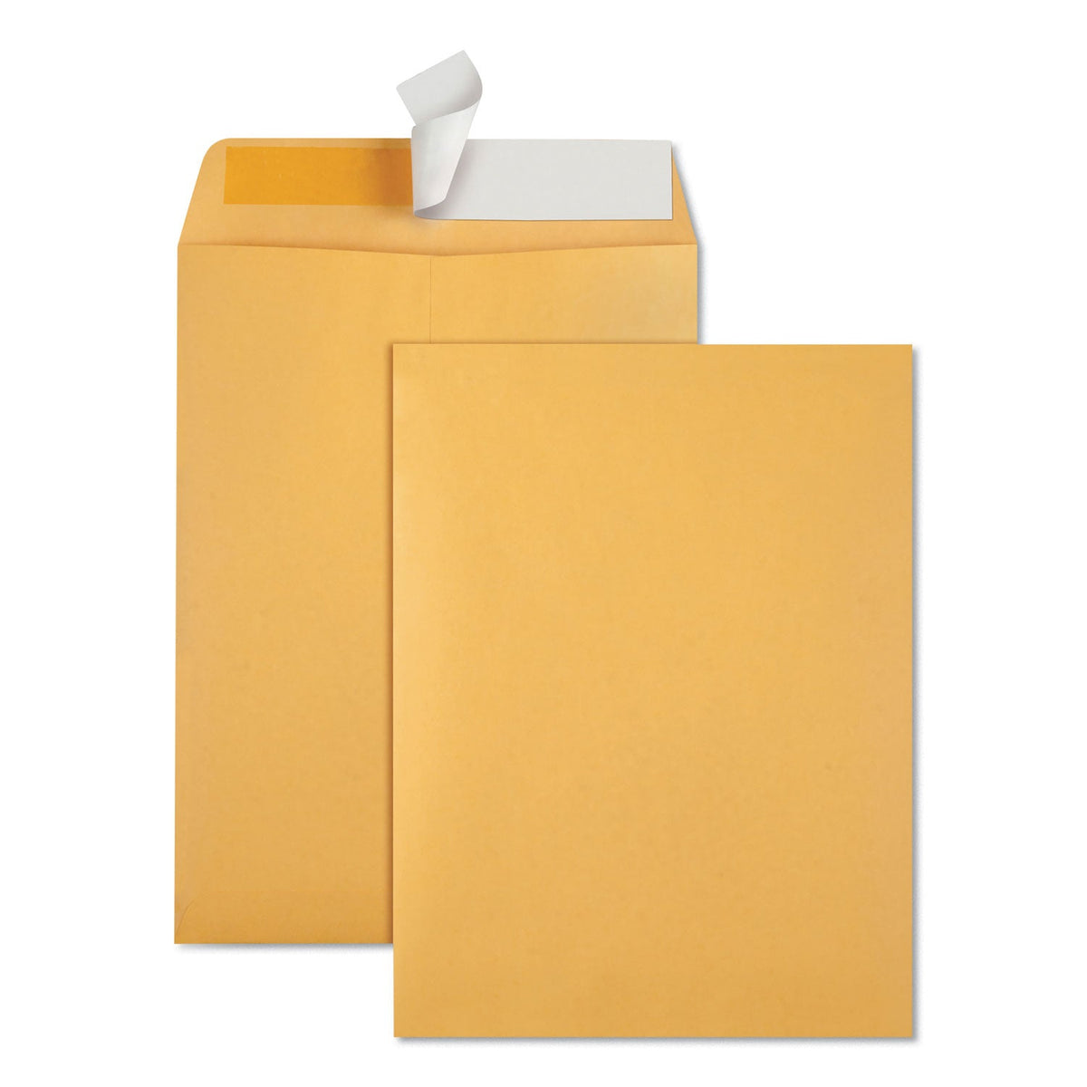Quality Park Redi-Strip Catalog Envelope | 9x12